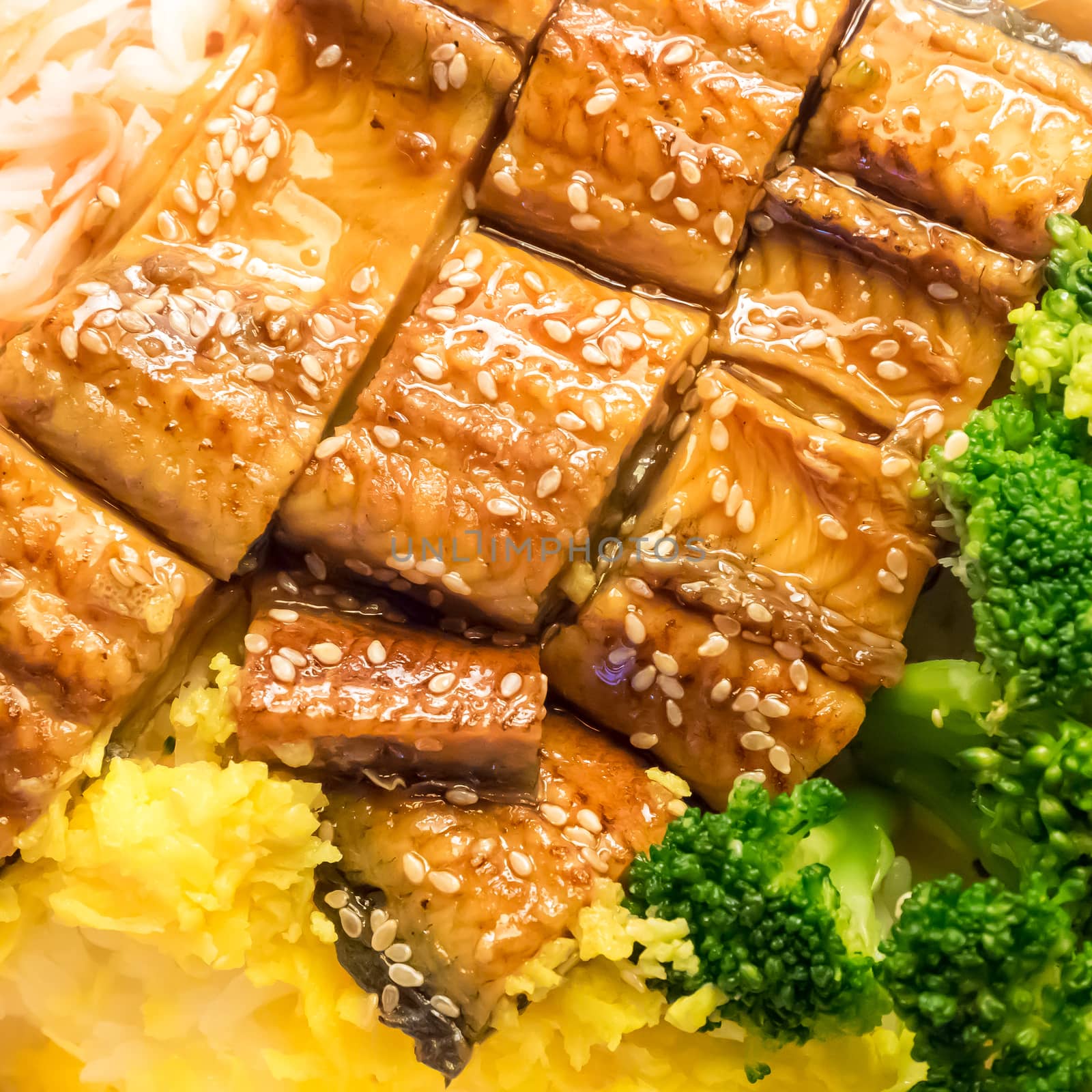 The close up of Japanese grilled eel and rice on bowl set.