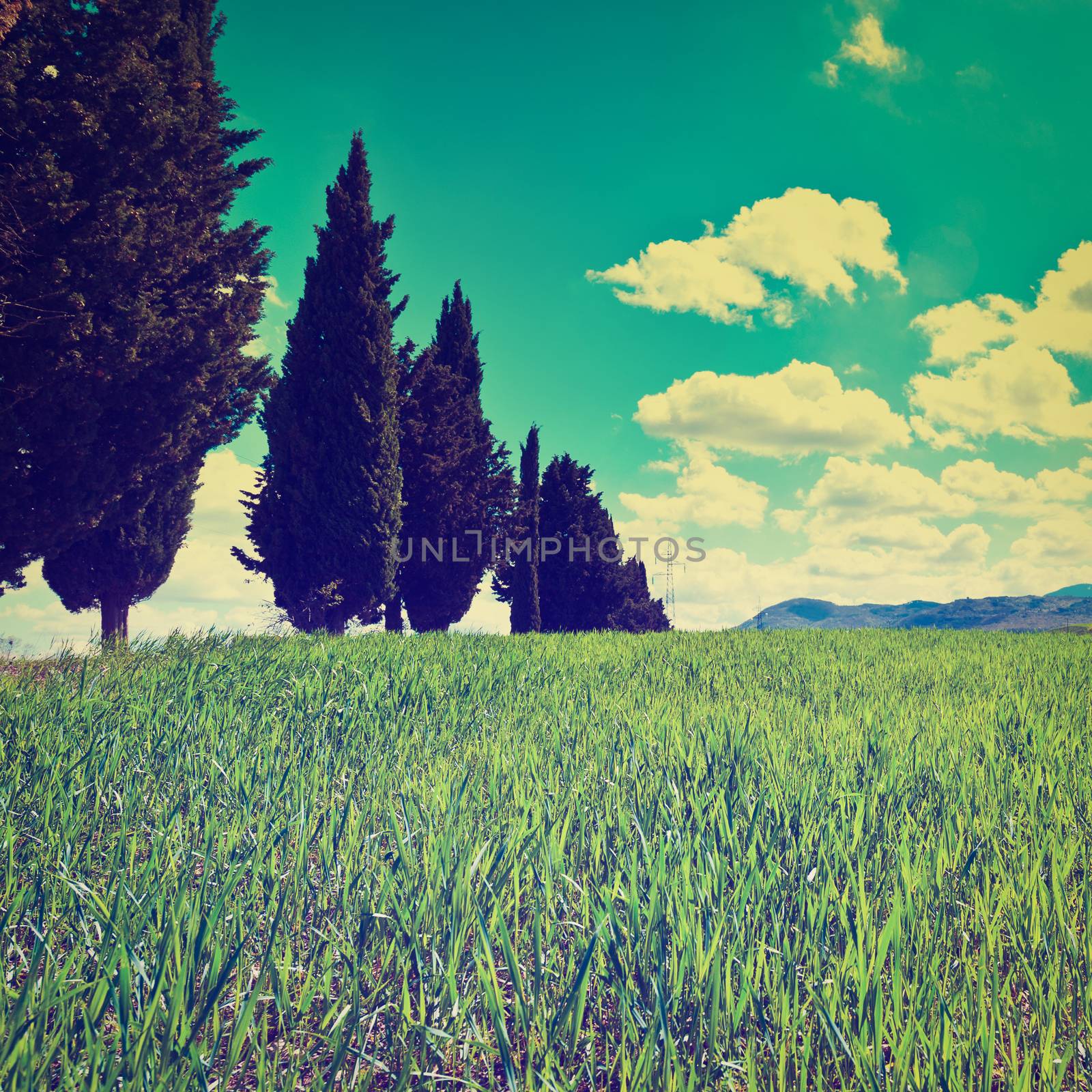 Green Sloping Meadows of Tuscany, Instagram Effect