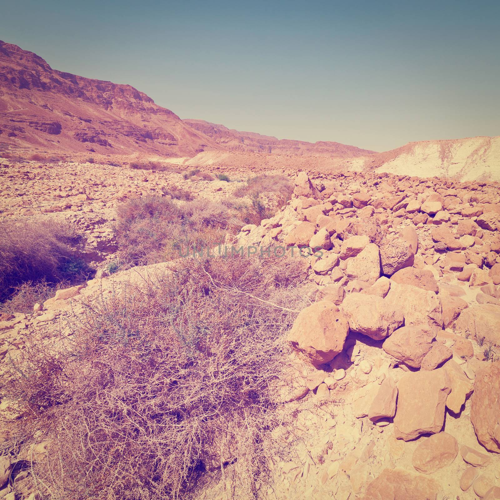 Desert on the West Bank of the Jordan River, Instagram Effect