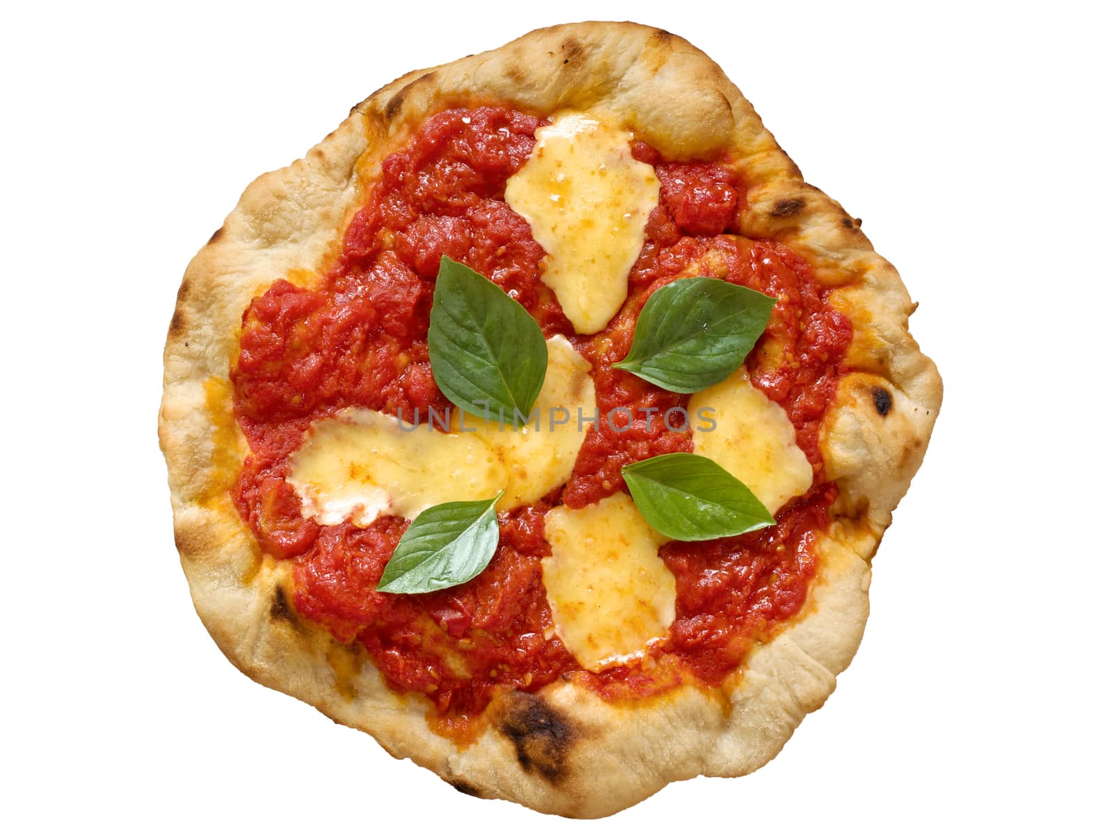close up of rustic italian pizza margherita isolated