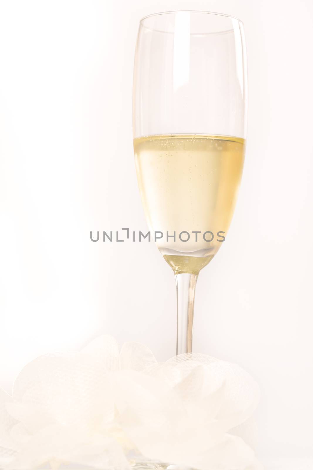 Glass of Champagne white background by CatherineL-Prod