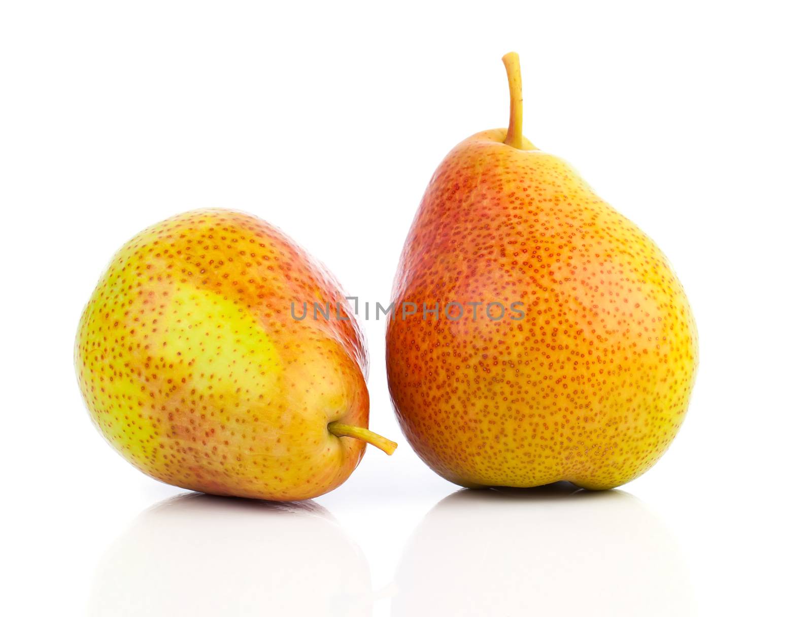 Two yellow pears isolated on white background