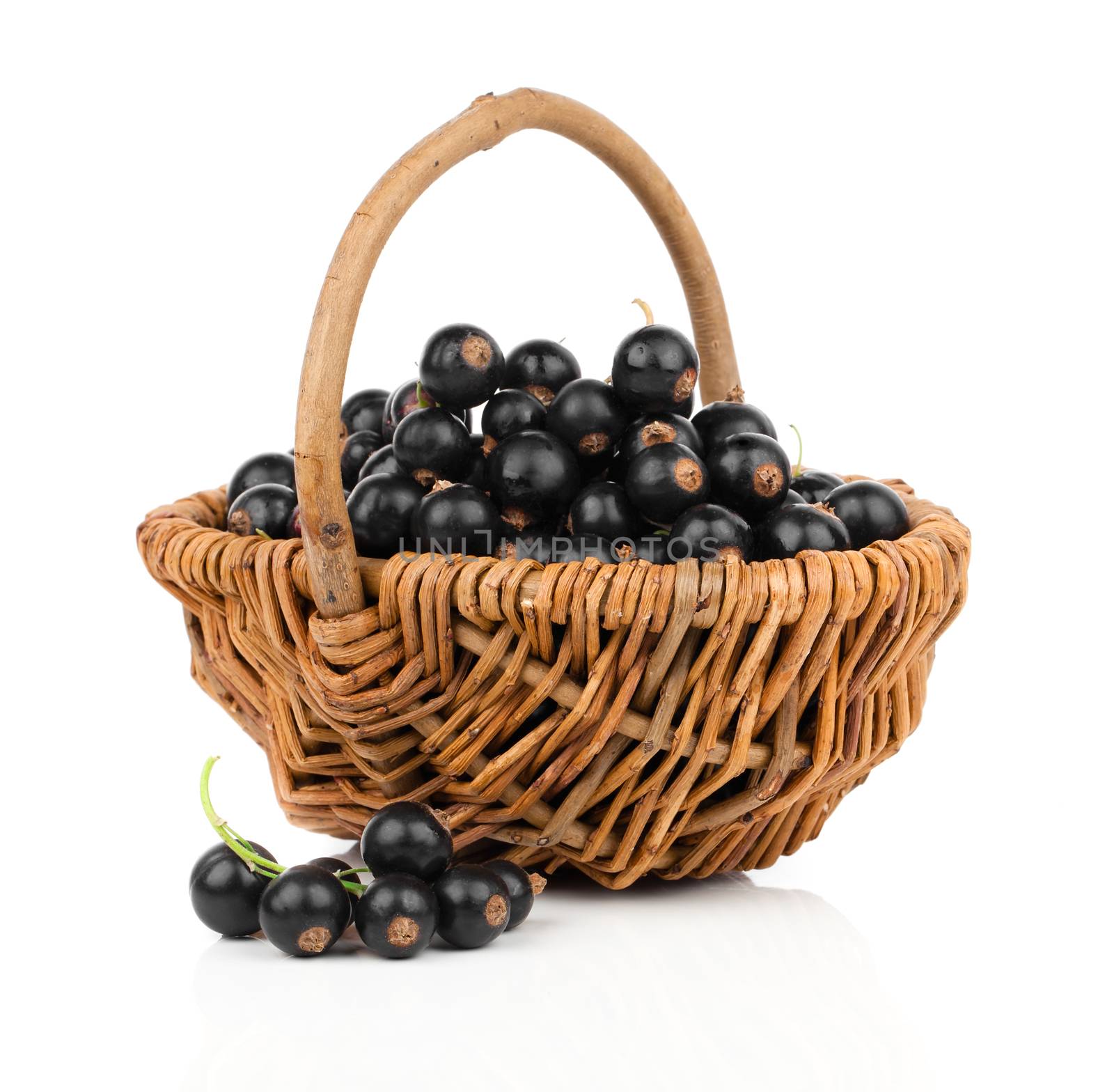 Basket with black currant on a white background