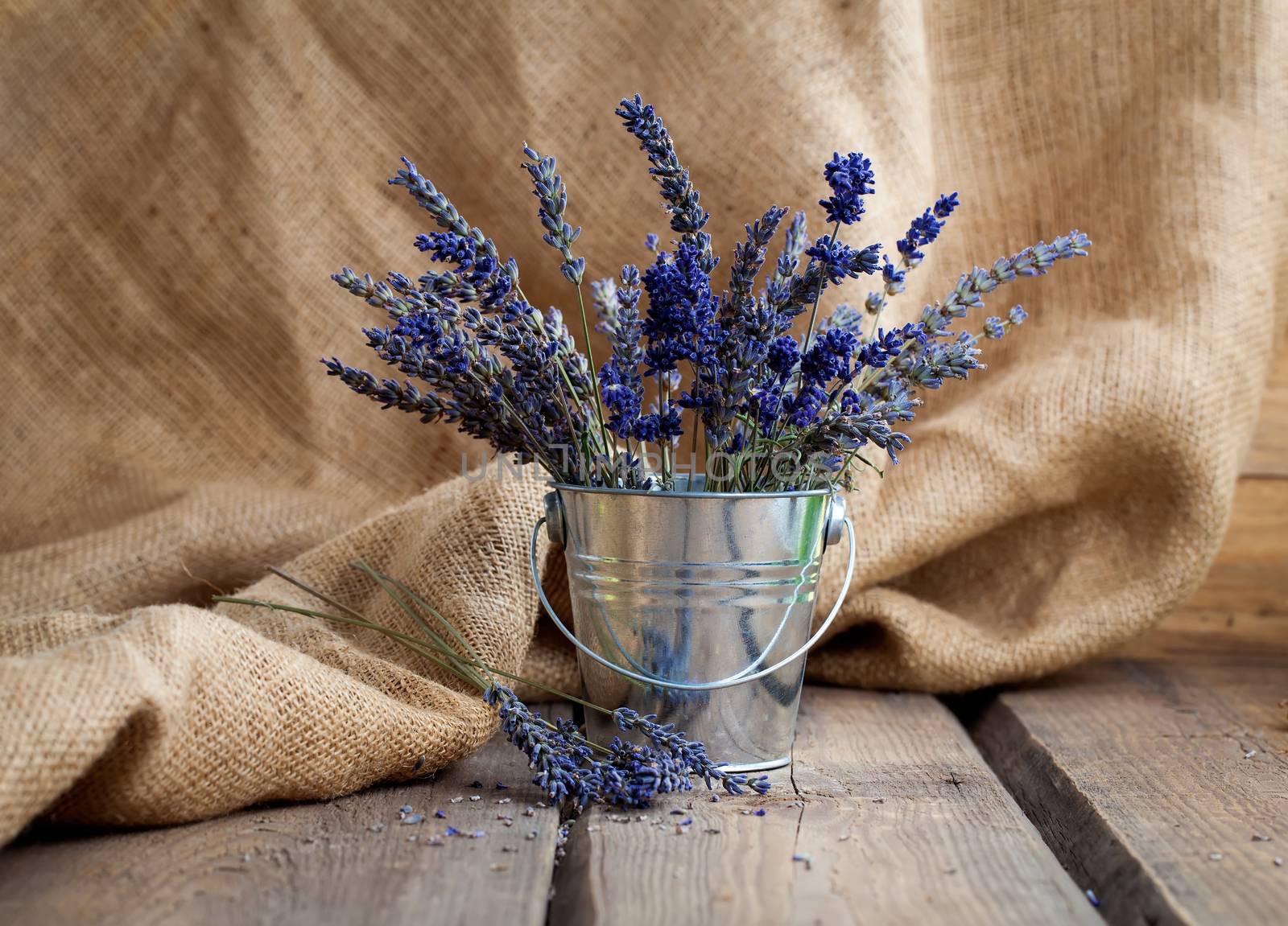 Lavender flowers in an iron bucket on a wooden background by motorolka