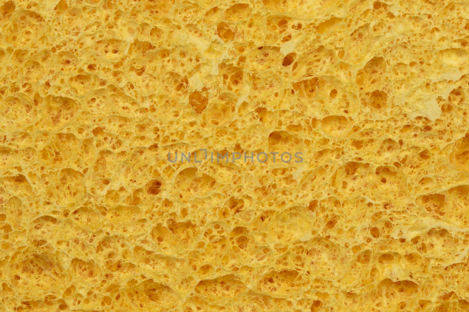 Details of a sponge by leventina