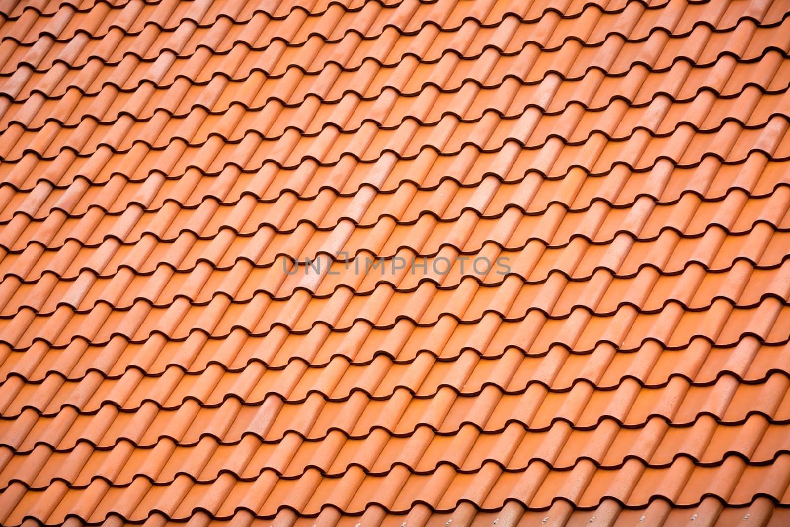 a pattern  line of traditional style roof