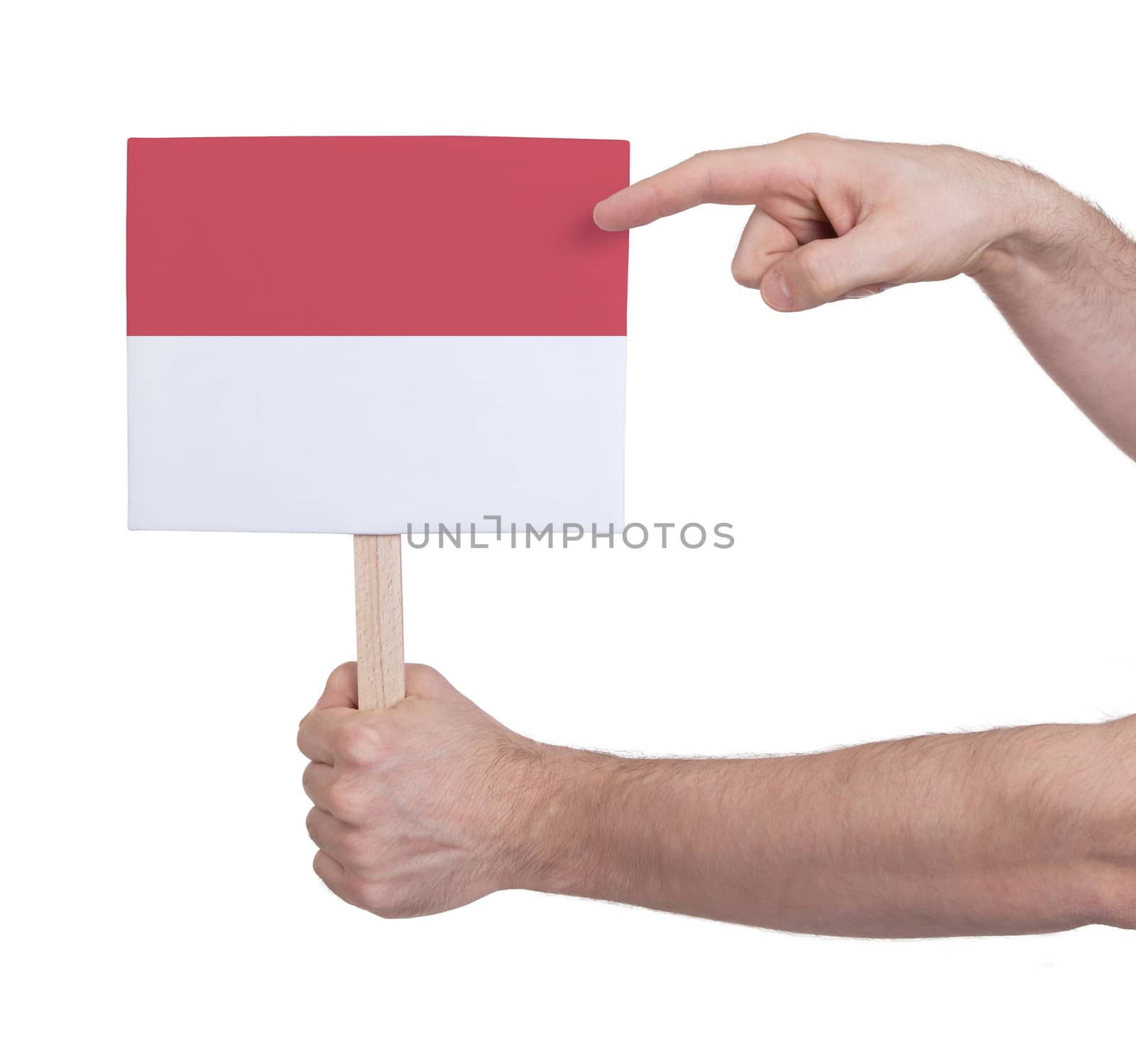 Hand holding small card, isolated on white - Flag of Monaco