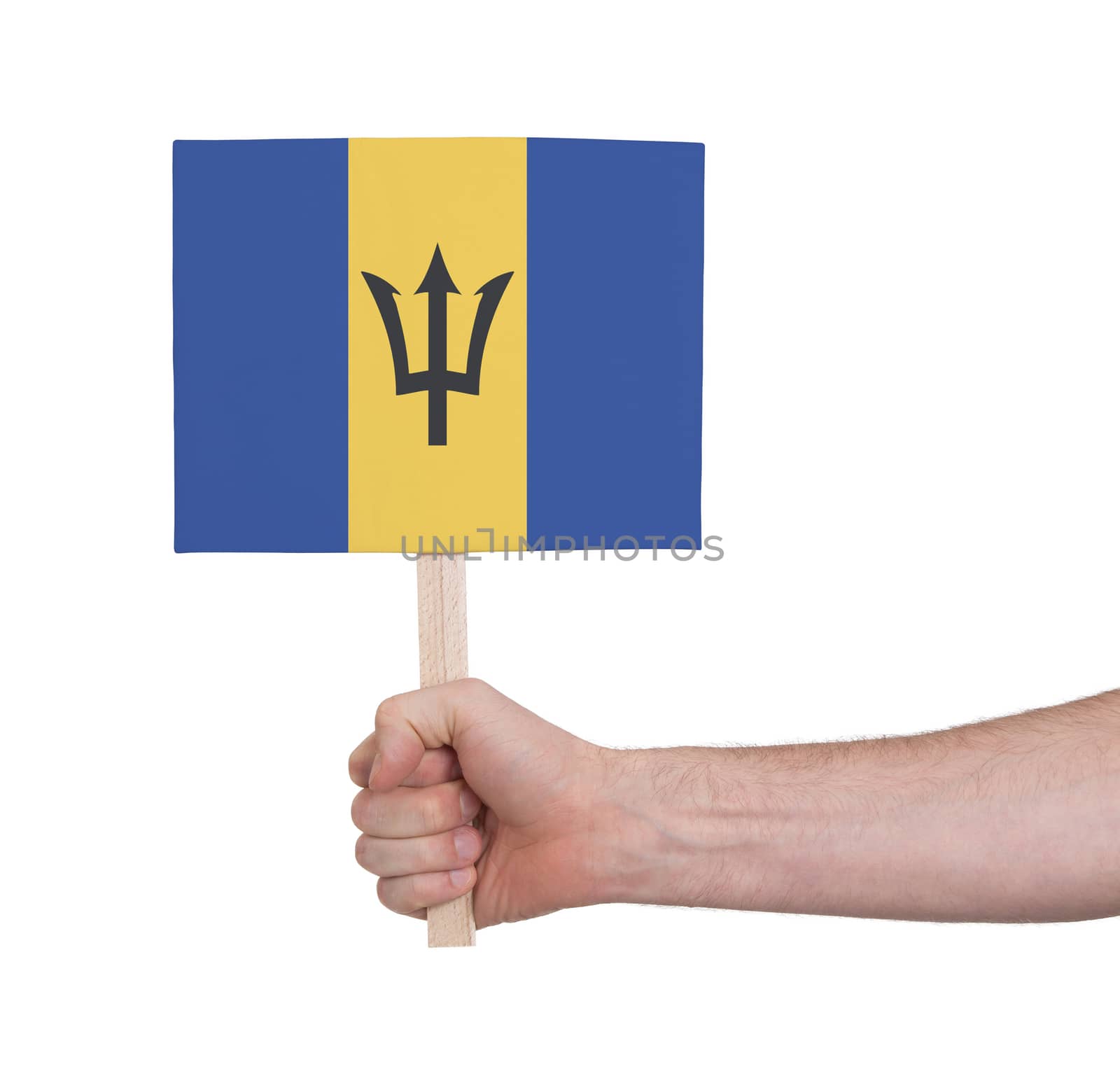 Hand holding small card, isolated on white - Flag of Barbados