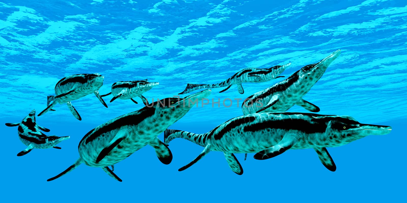 Cymbospondylus Marine Reptiles by Catmando