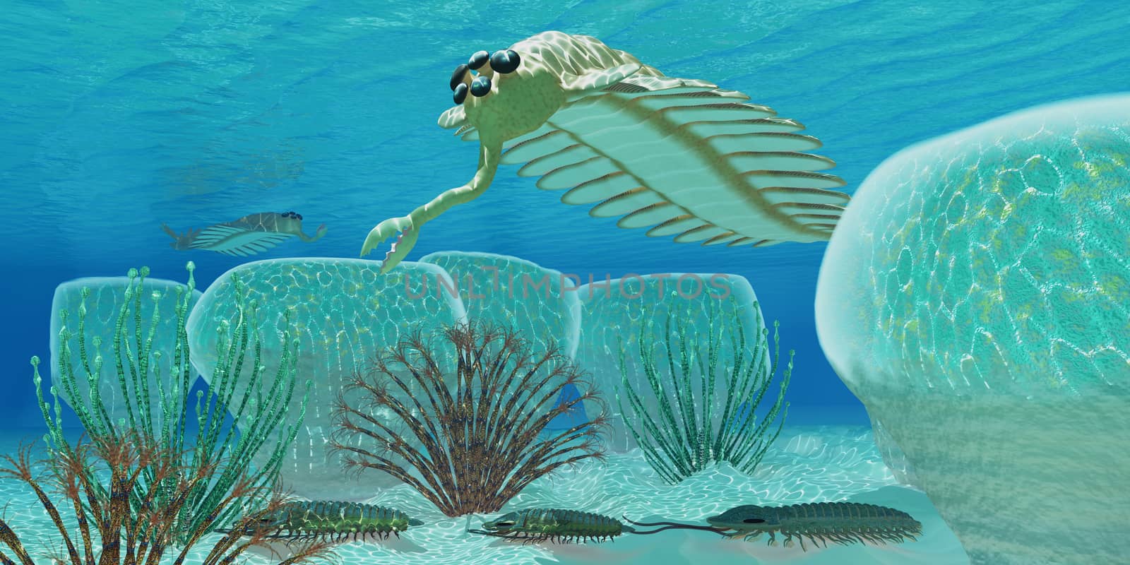 Trilobites try to hide from predator Opabinia in a Cambrian sea full of stromatolites.