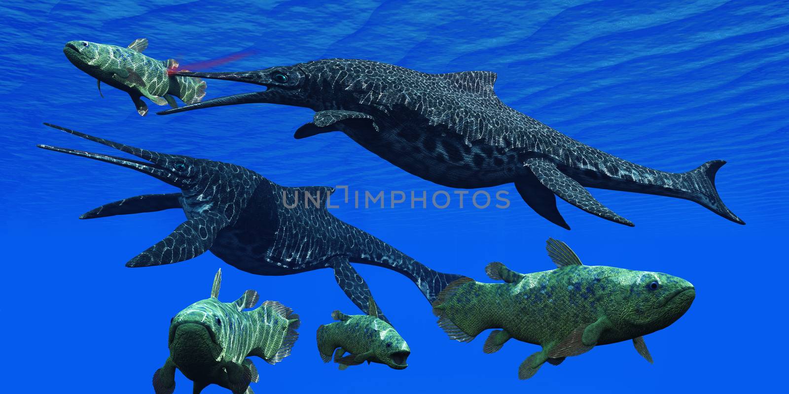 A Shonisaurus Ichthyosaur stabs a Coelacanth fish trying to get away from these predators in a Triassic ocean.