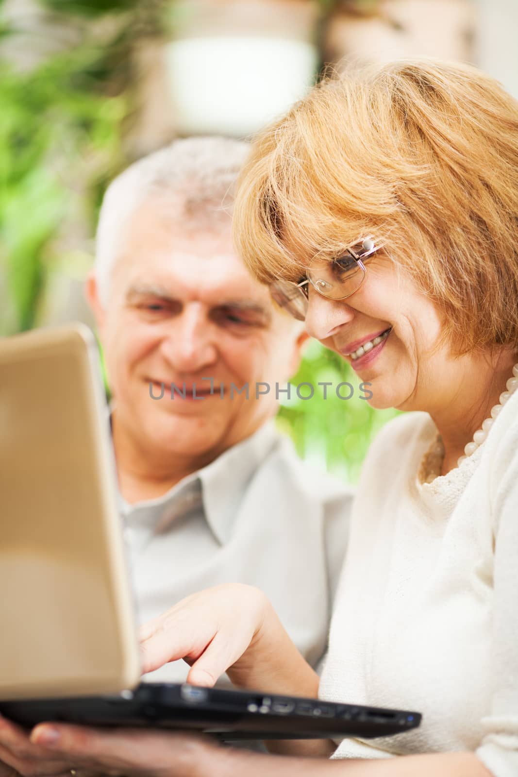 Happy senior couple using laptop at home