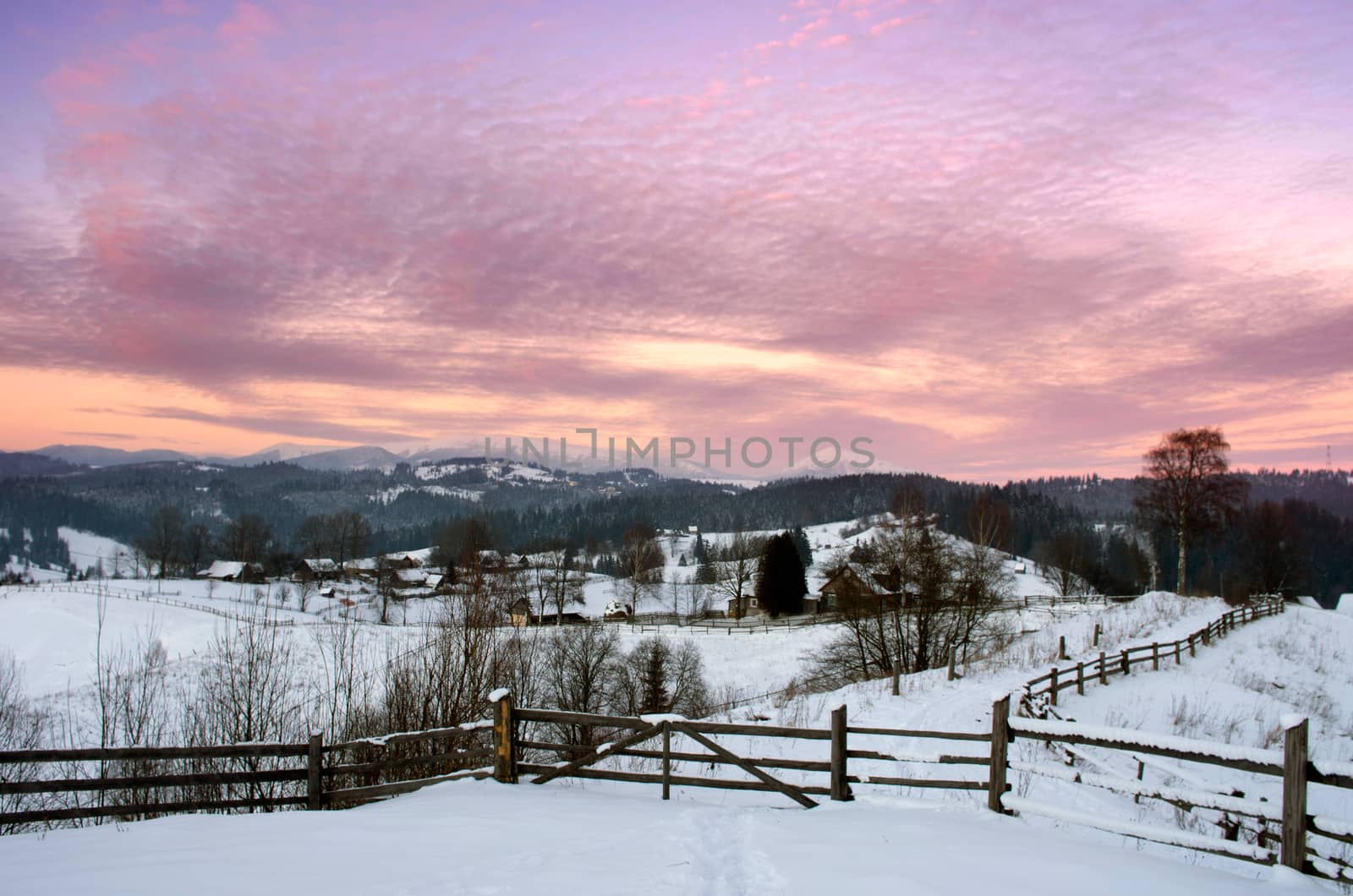 Carpathian mountain valley covered with fresh snow. Majestic landscape. Ukraine, Europe