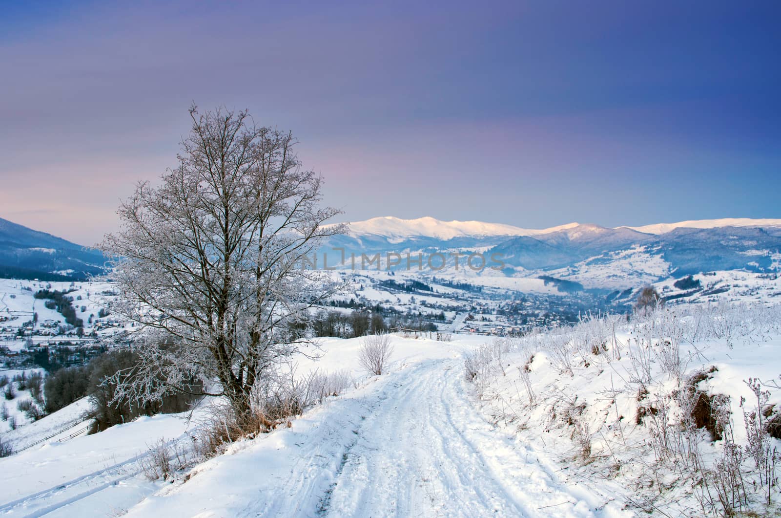 Carpathian mountain valley covered with fresh snow. Majestic landscape. Ukraine, Europe