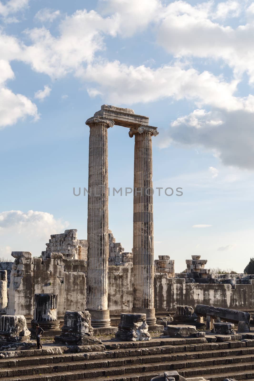 Didyma Apollon Temple by niglaynike