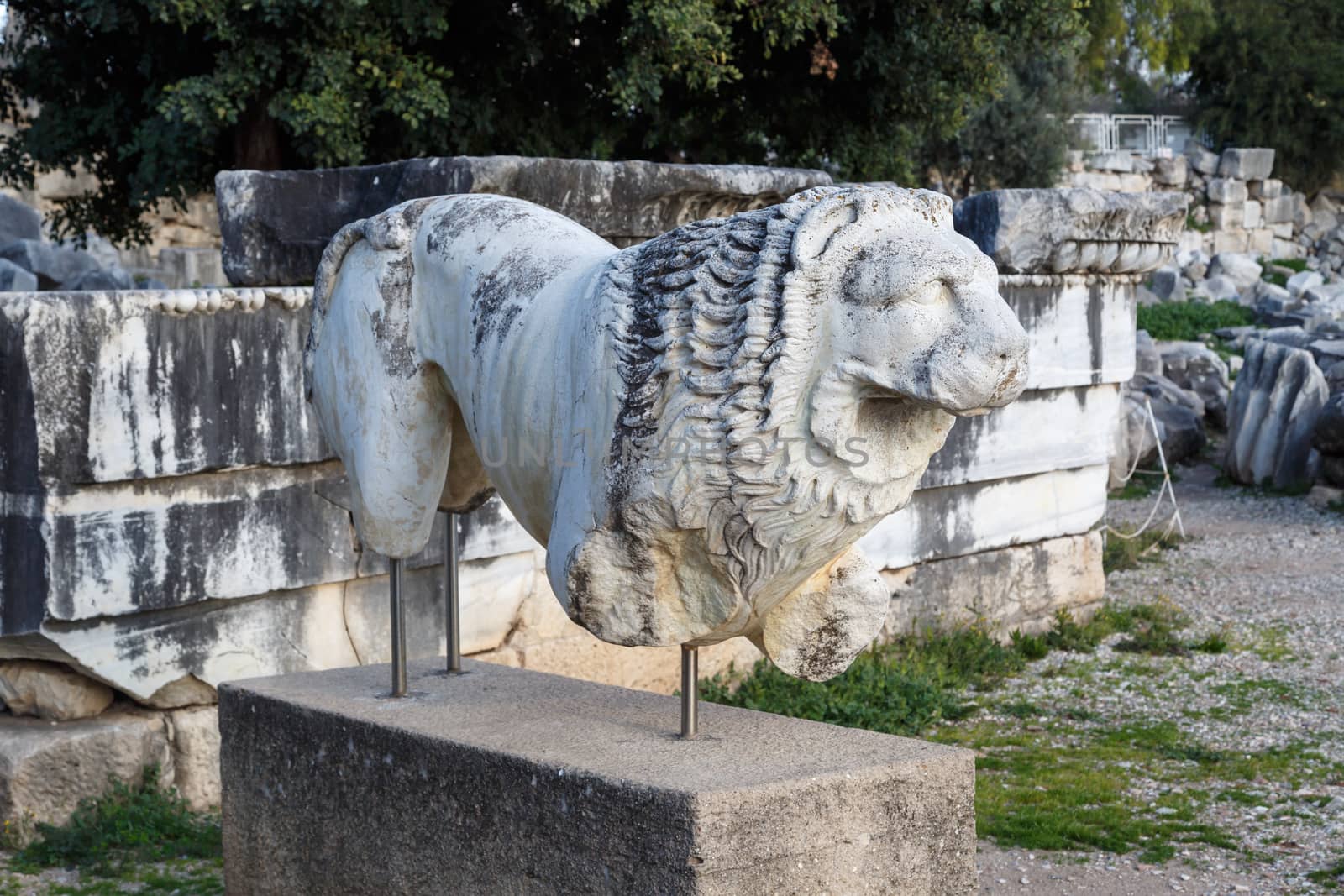 View of granit leon sculpture in Didyma Ancient City in Aydın, Turkey.