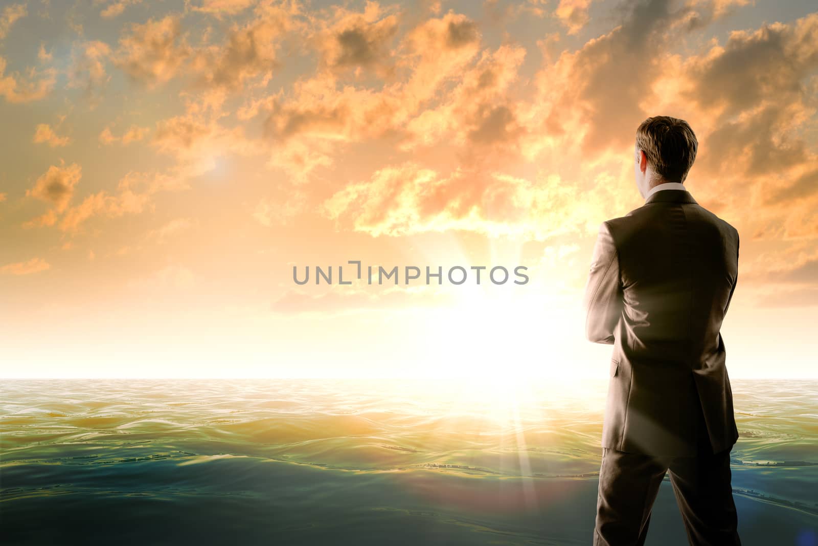 Businessman against sea in moring light, rear view