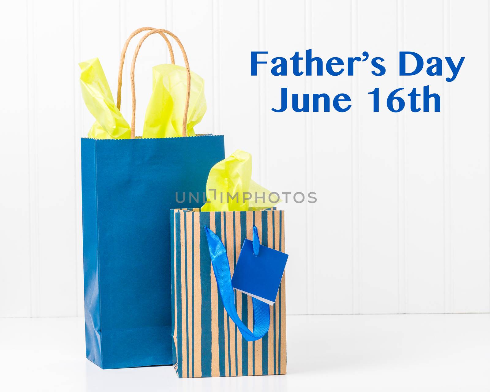 Two blue gift bags with tissue for Fathers Day.