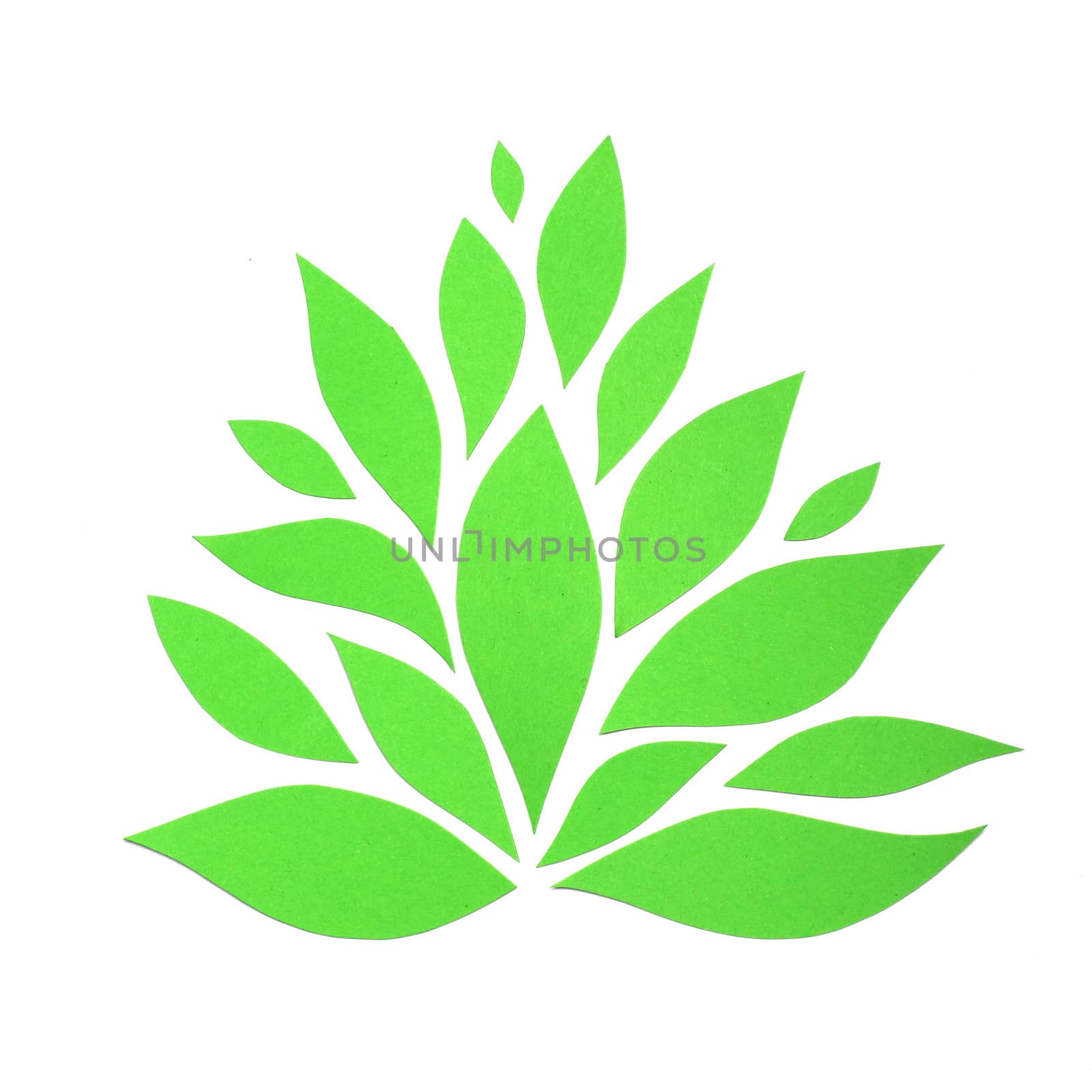 Green paper plant by destillat