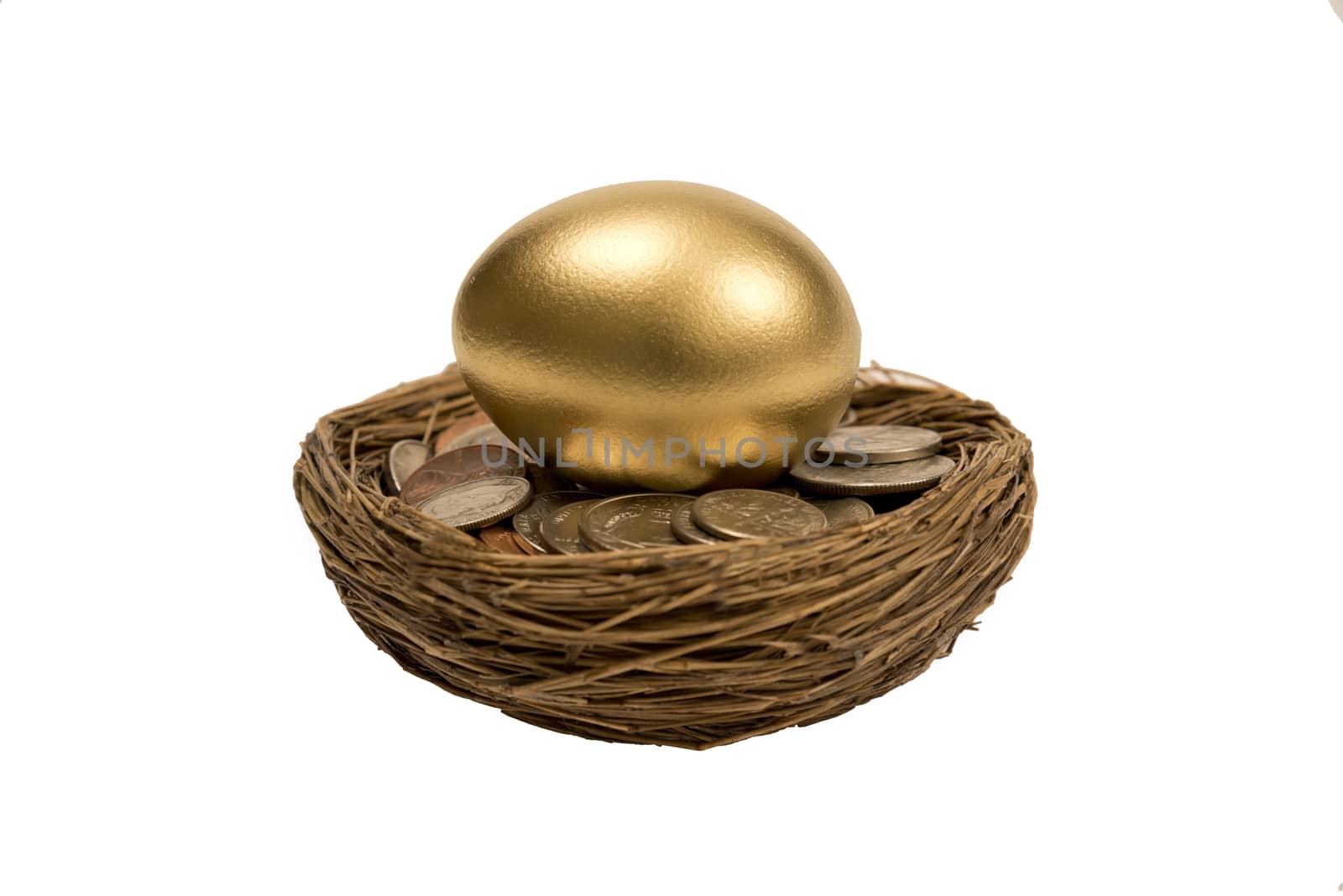 Golden  Egg Laying On Top Of Coins In Nest by stockbuster1