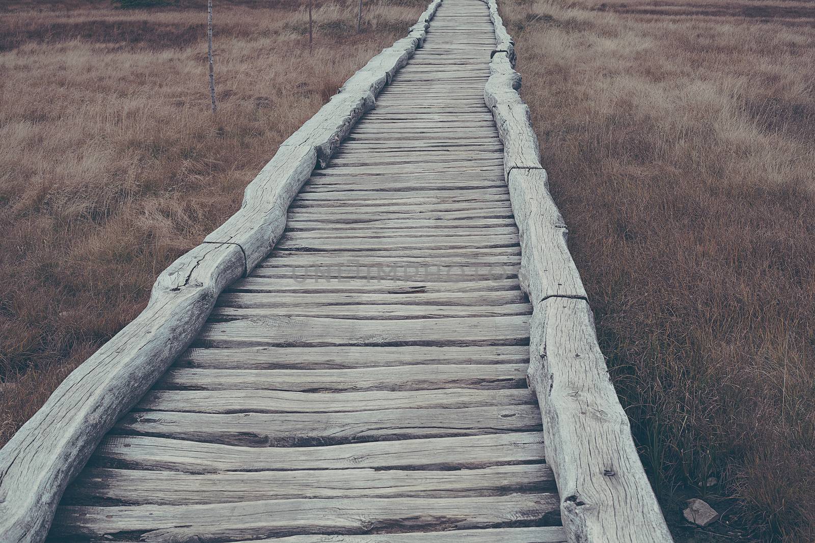 old wooden path in natural national park