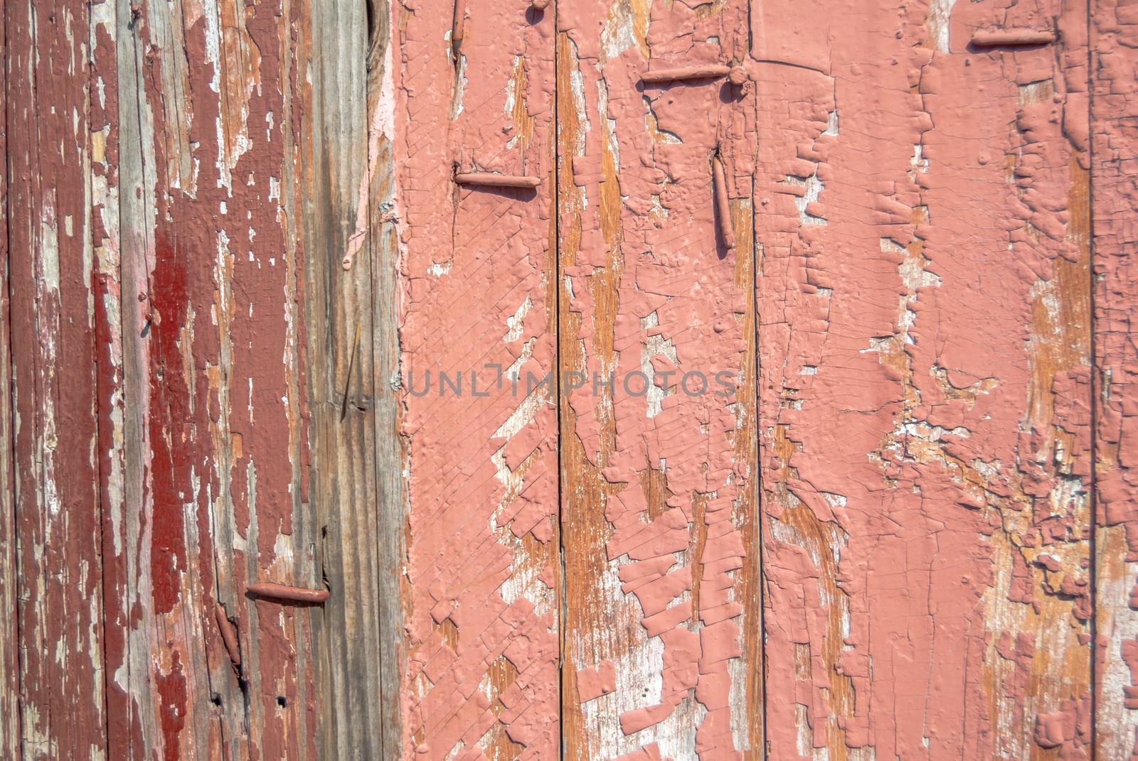 texture of wooden surface with remnants of old paint that has dried and cracked under the influence of weather