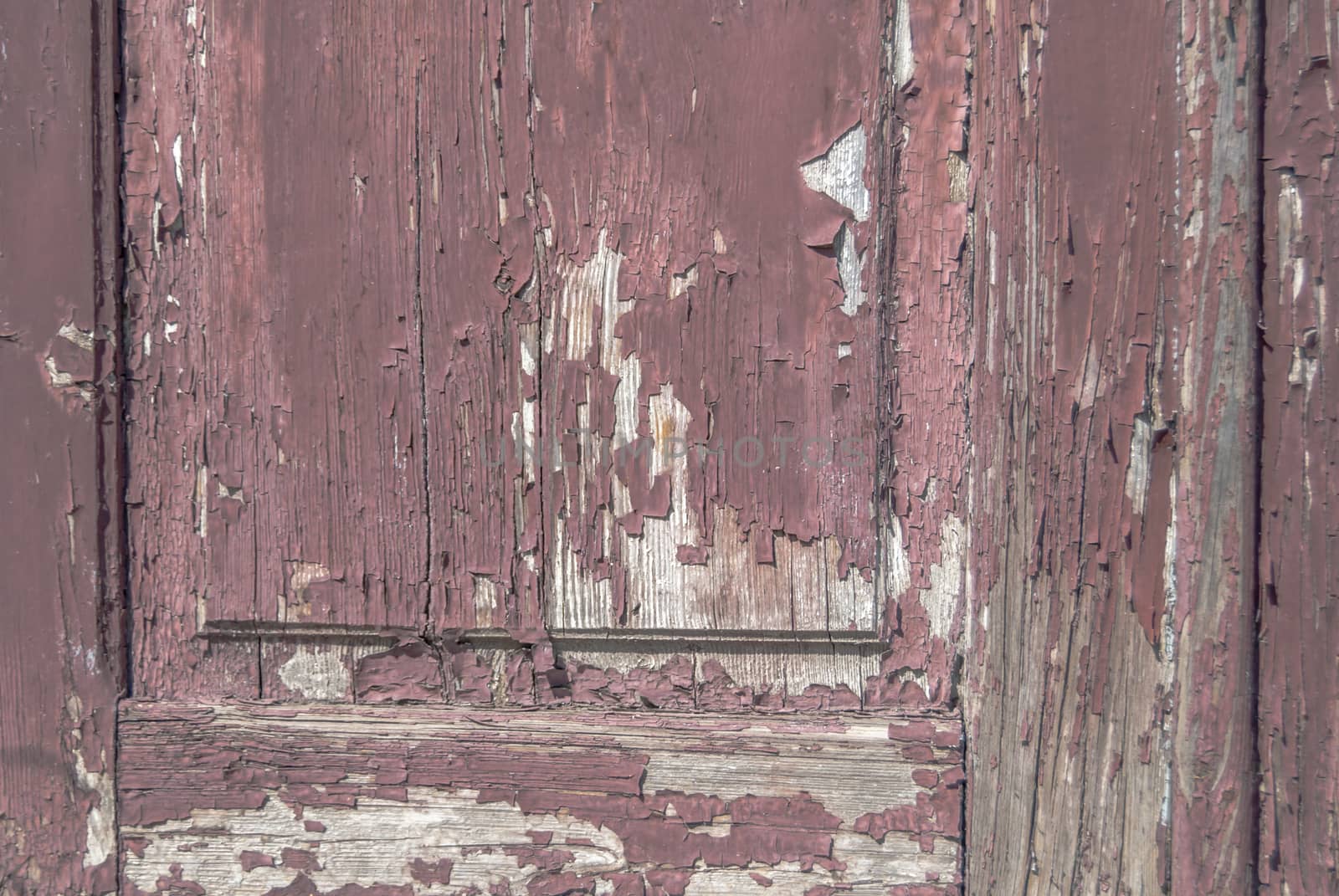 chipped paint on old wooden the door, great background or texture for your project by uvisni