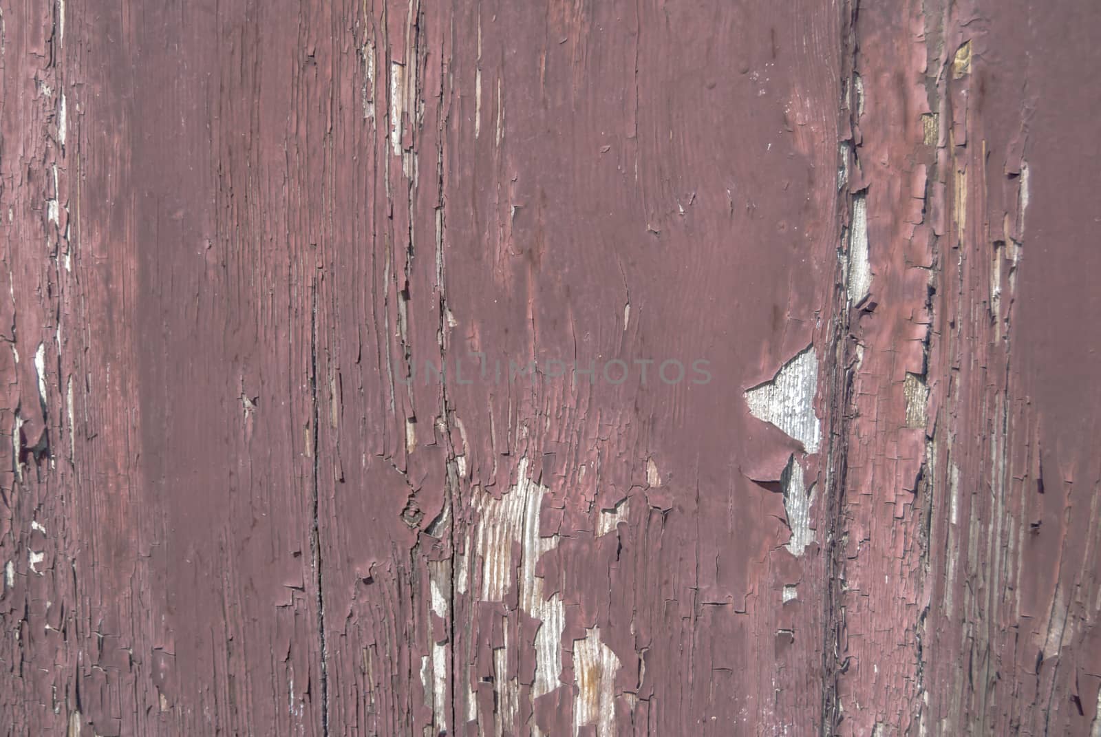 texture of wooden surface with remnants of old paint that has dried and cracked under the influence of weather