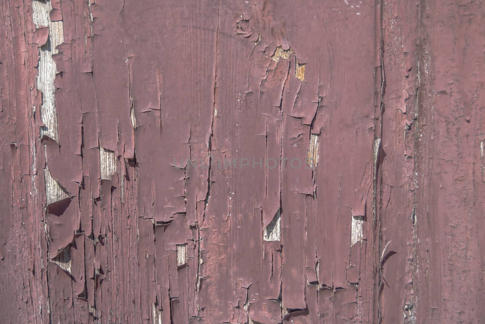 chipped paint on old wooden the door, great background or texture for your project by uvisni