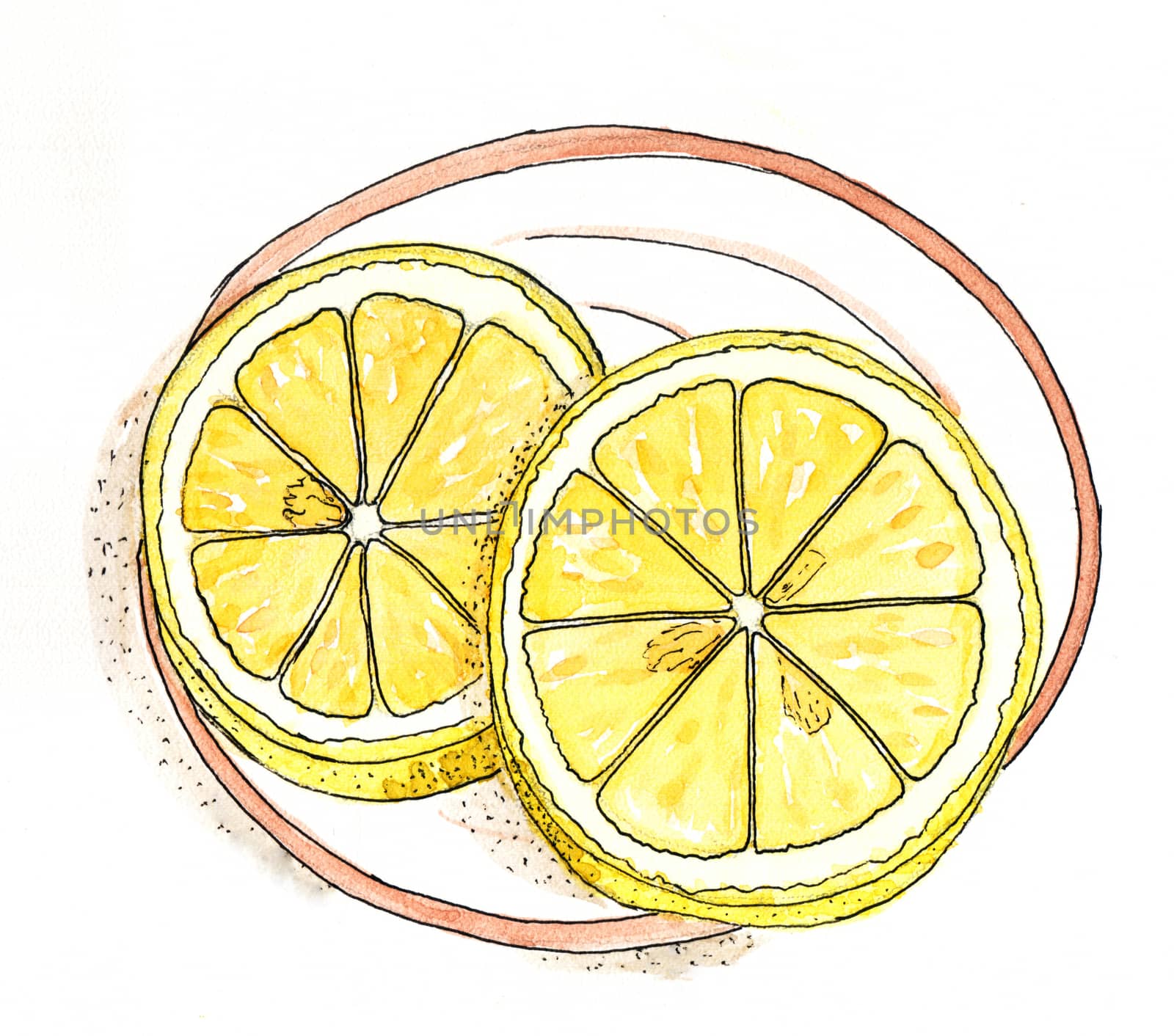 Watercolor drawing - lemon slices on a plate by Julia_Faranchuk