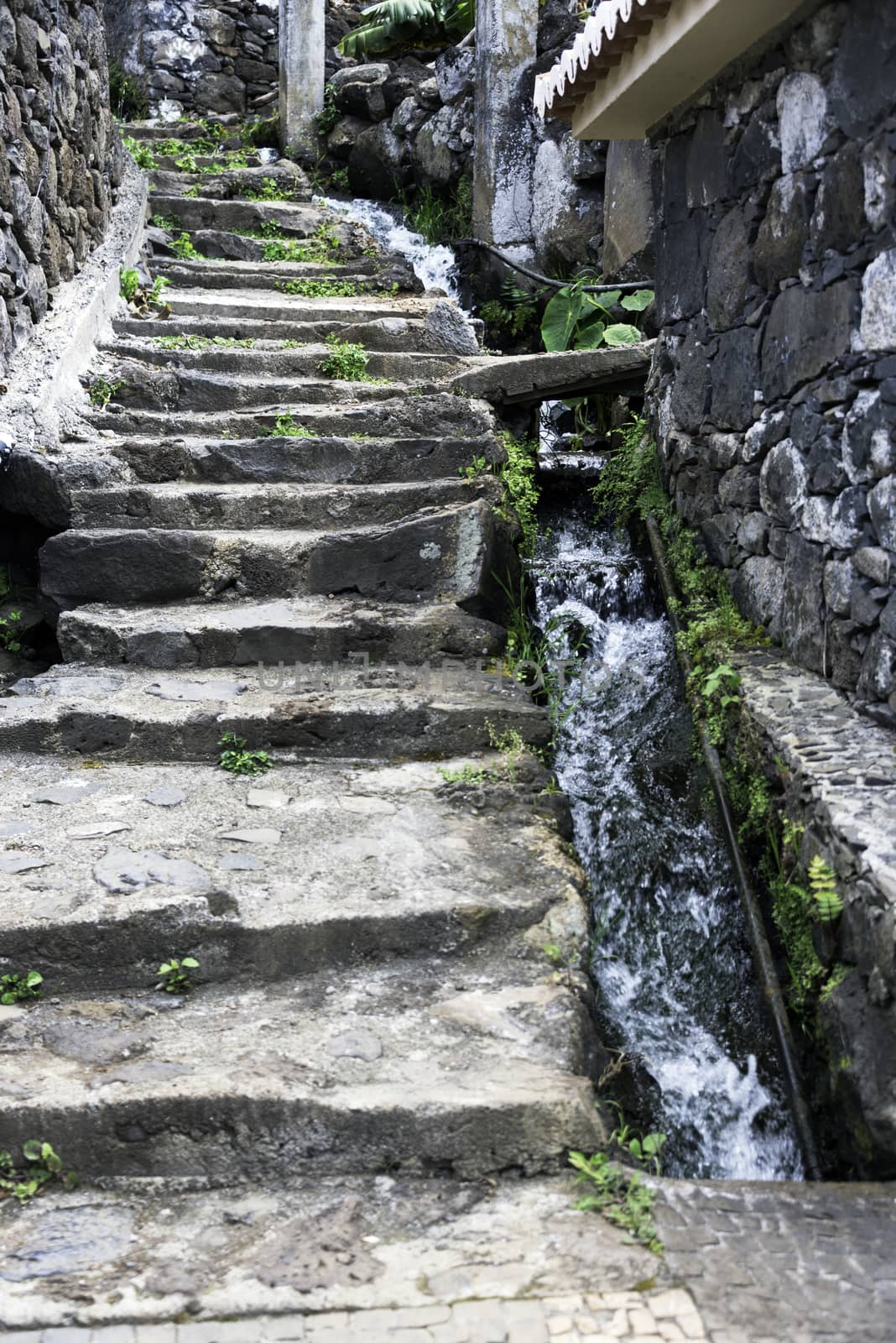 levada near old stairs from stone on the island madeira