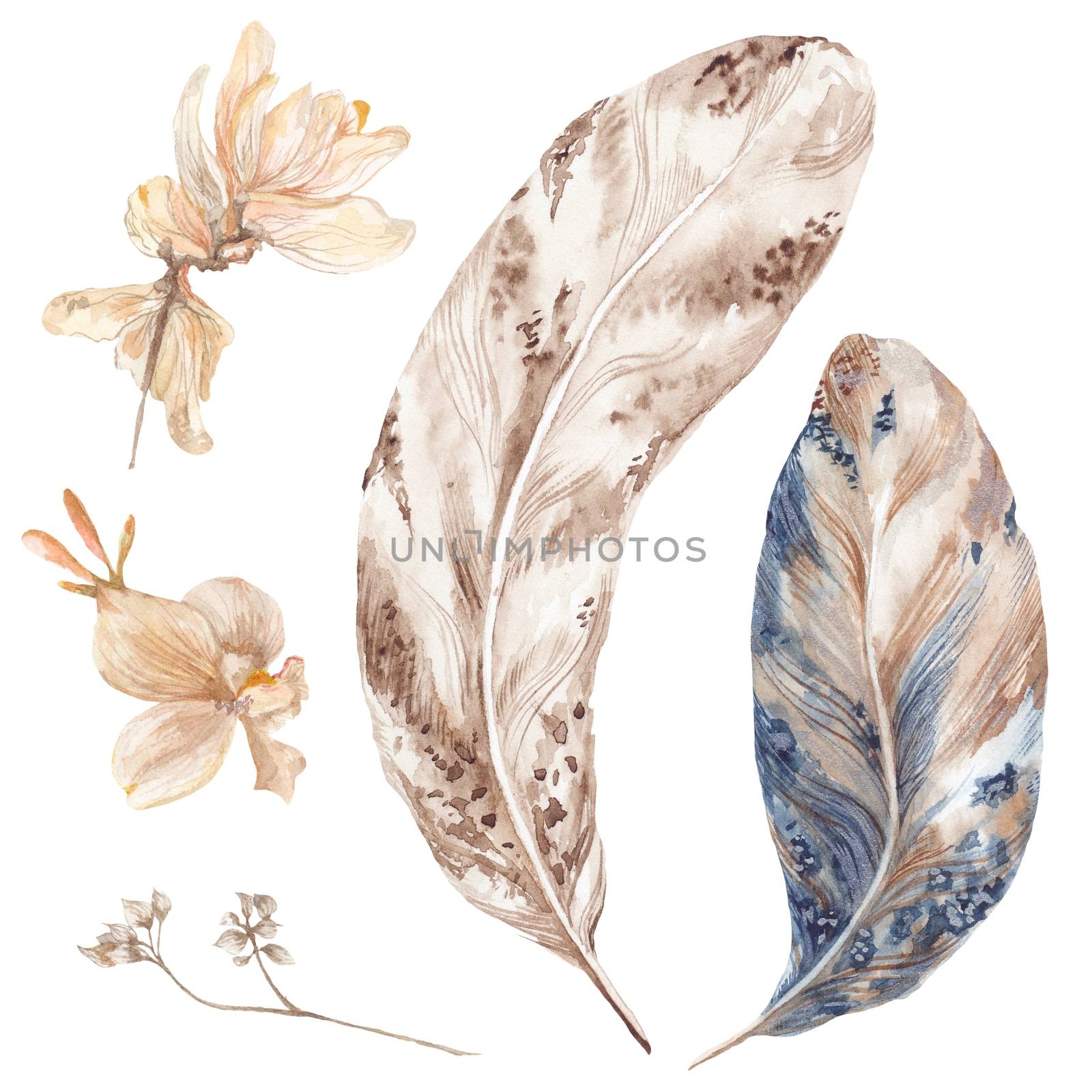 Boho Style Watercolor Feathers and Plants by kisika