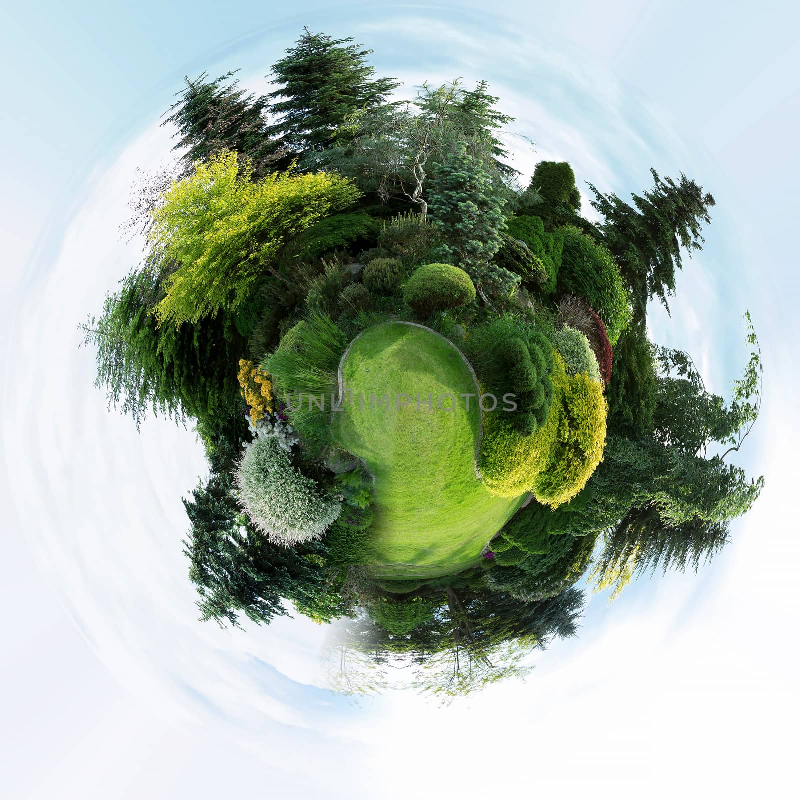 mini planet of Beautiful spring garden design, with conifer trees, green grass. Beautiful Little planet with spring garden, ecology concept. Tiny green planet with trees