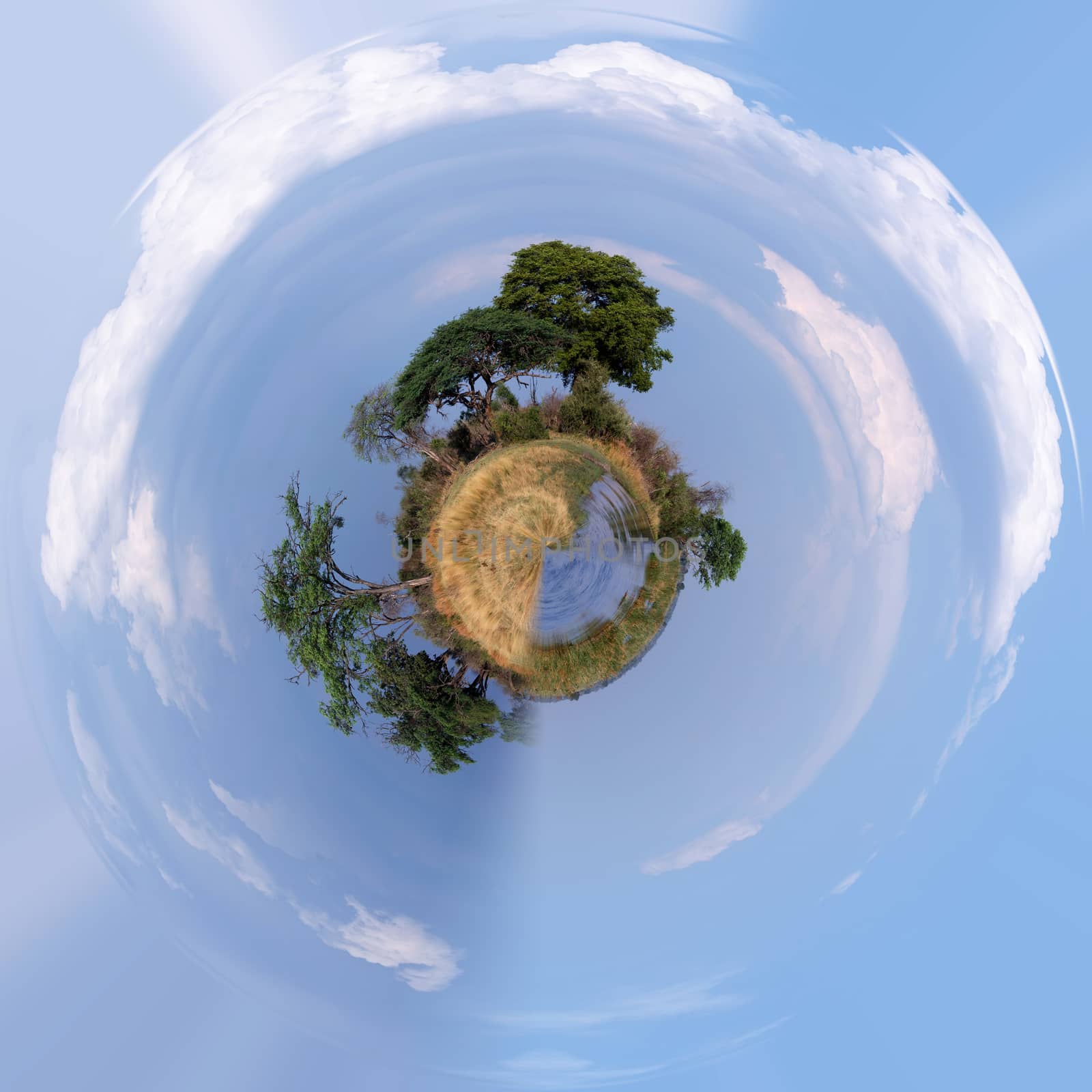 Beautiful Little planet of african landscape in national park nambwa on Caprivi Strip Namibia. Ecology concept. Save Africa nature project.Tiny green planet