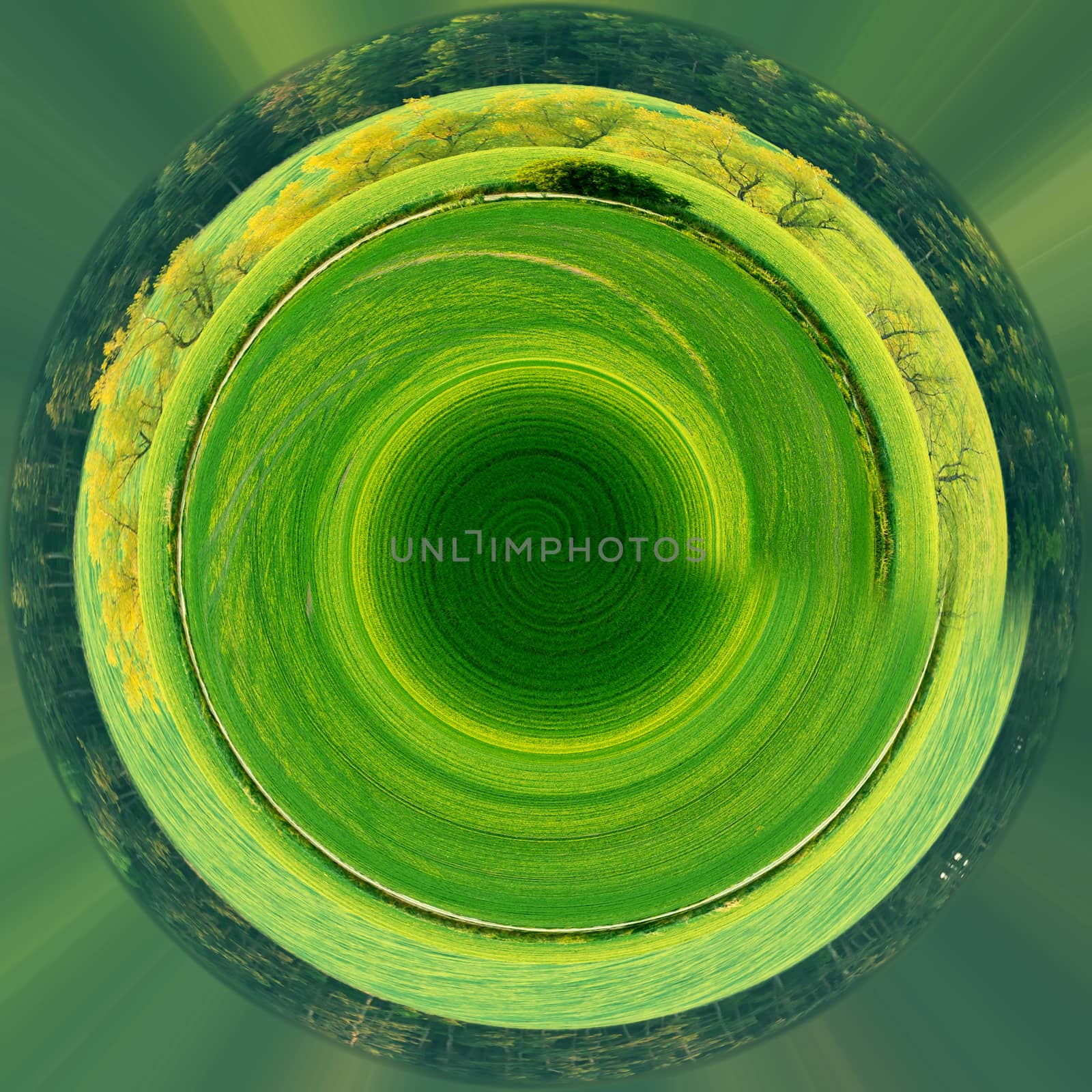 Planet of green spring rural landscape with green field. Rural landscape. Spring landscape. Field in countryside. Beautiful Little planet with green grass, ecology concept. Tiny green planet