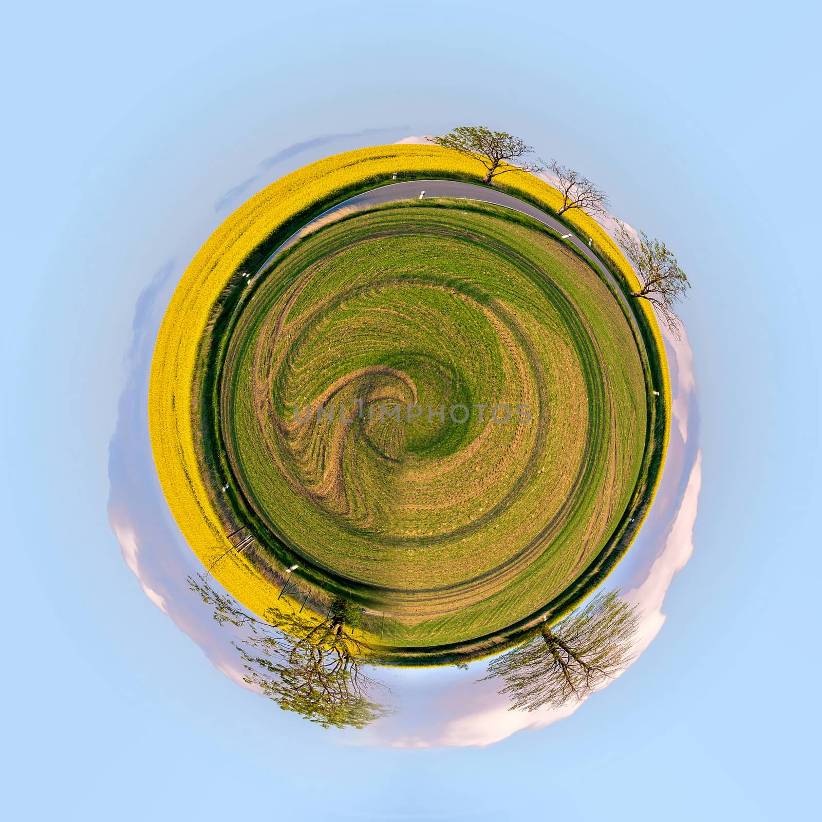 little planet of Beautiful summer rural landscape by artush