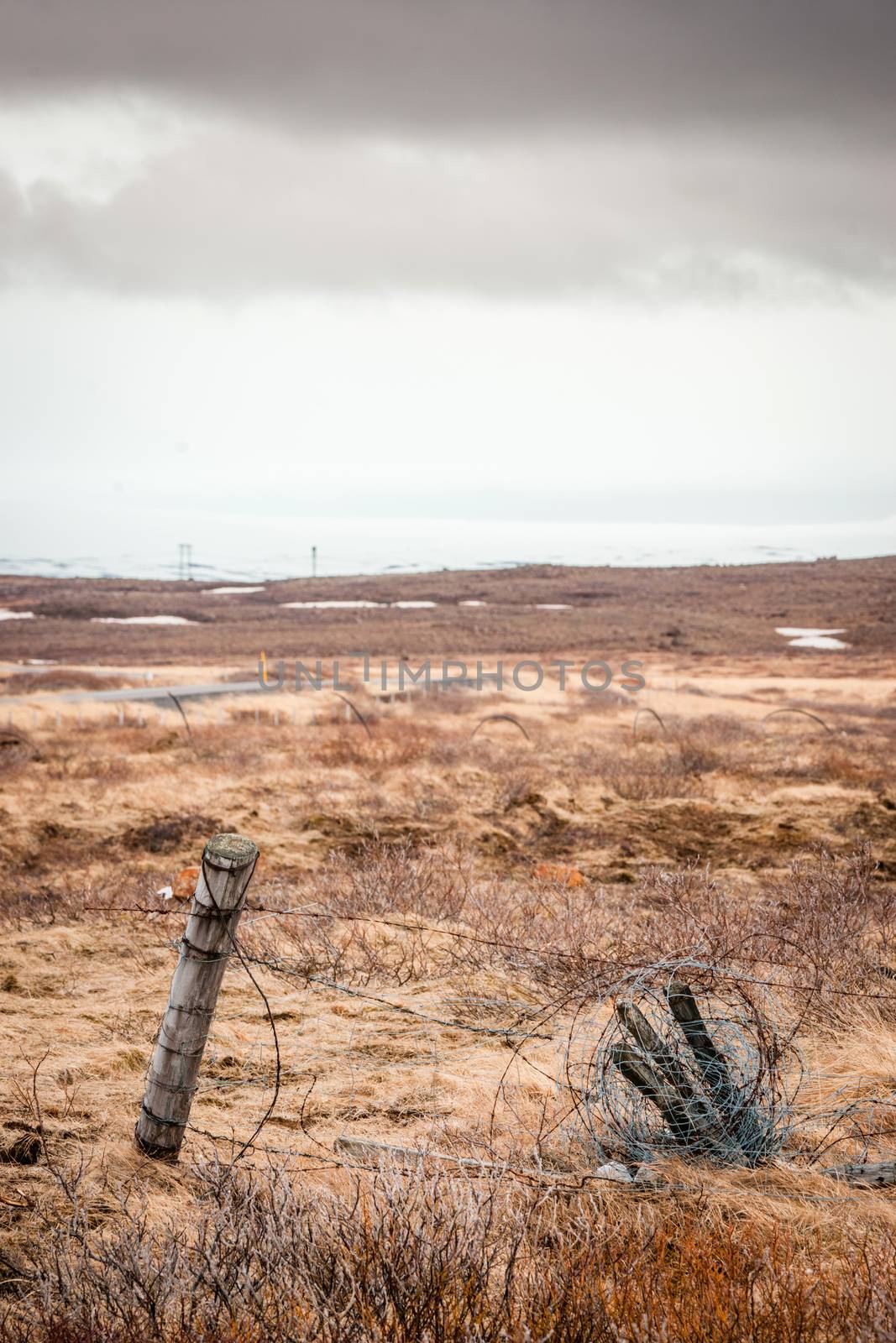 Barb wire on a fence in cloudy weather by Sportactive