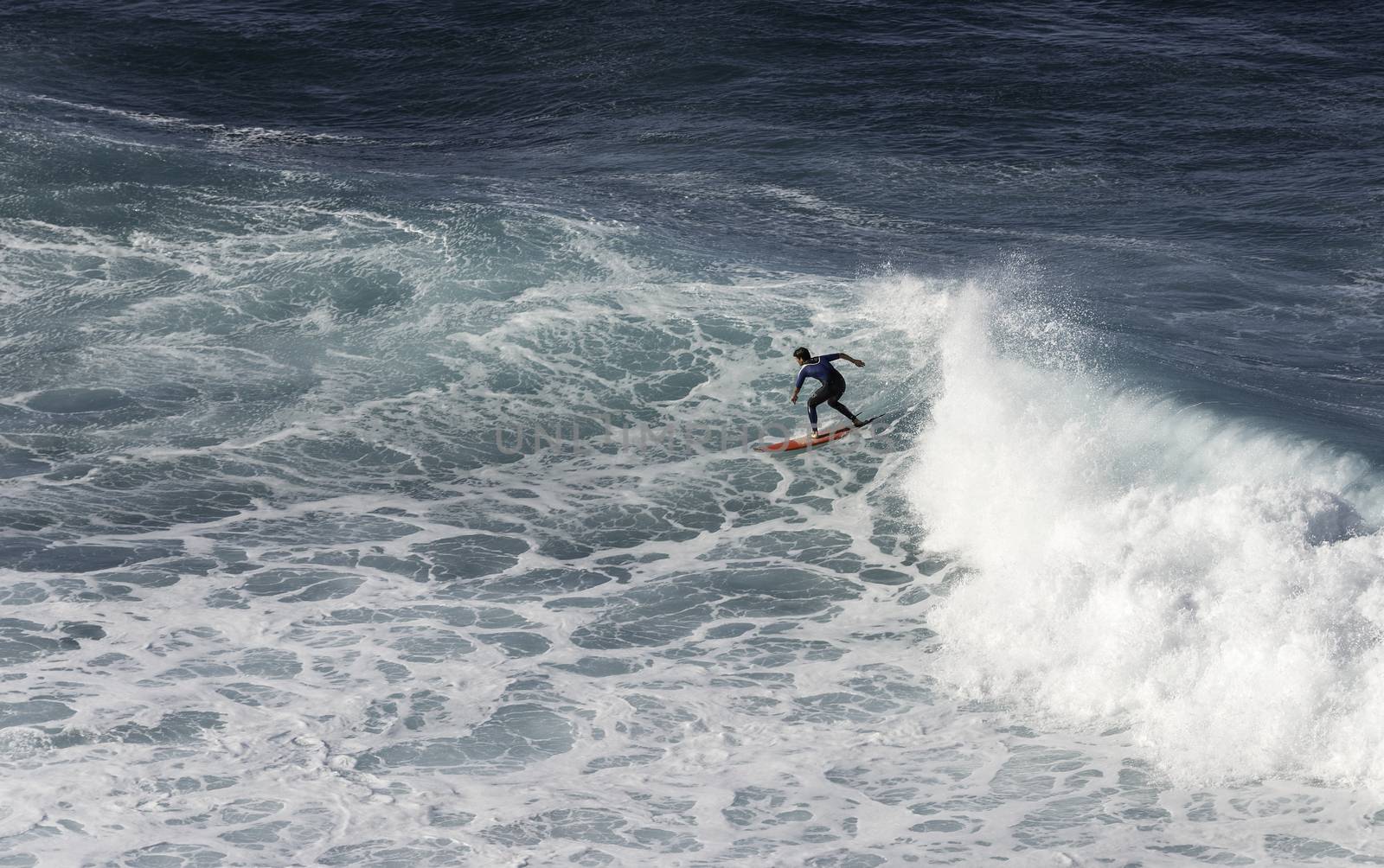 surfer on ocean waves near Madeira by compuinfoto