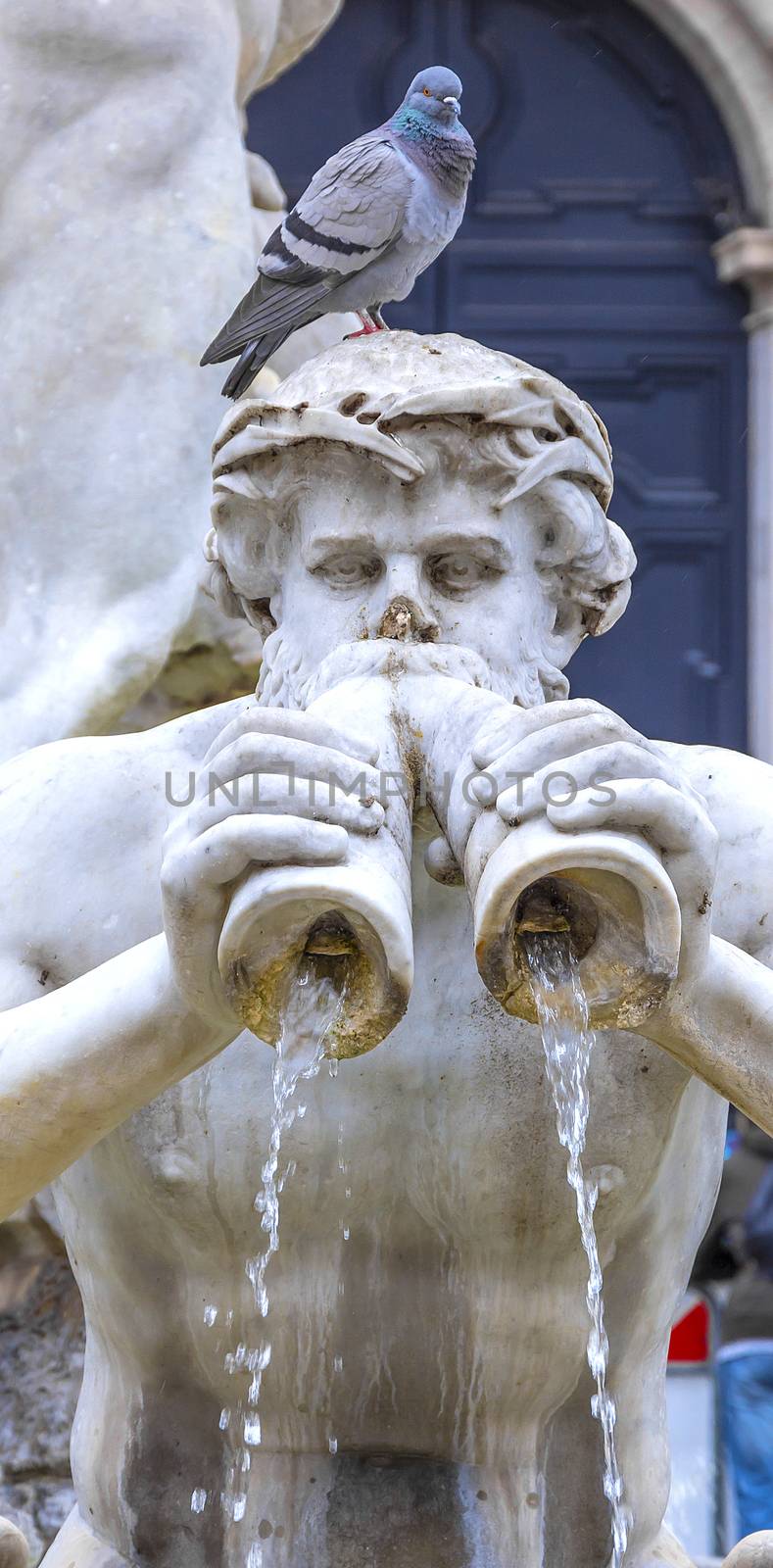 Fontana del Moro (Moor Fountain) is a fountain located at the southern end of the Piazza Navona in Rome, Italy. It represents a Moor wrestling with a dolphin, surrounded by four Tritons.