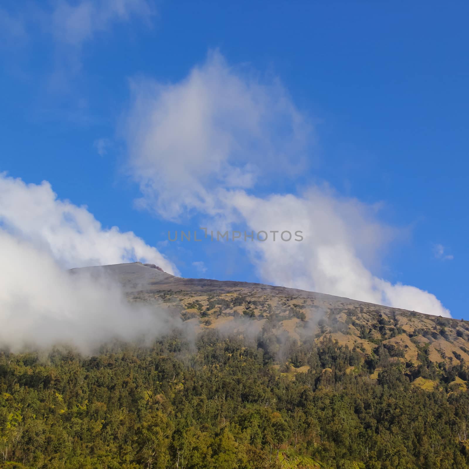 Landscape on mountain with grass and cloud