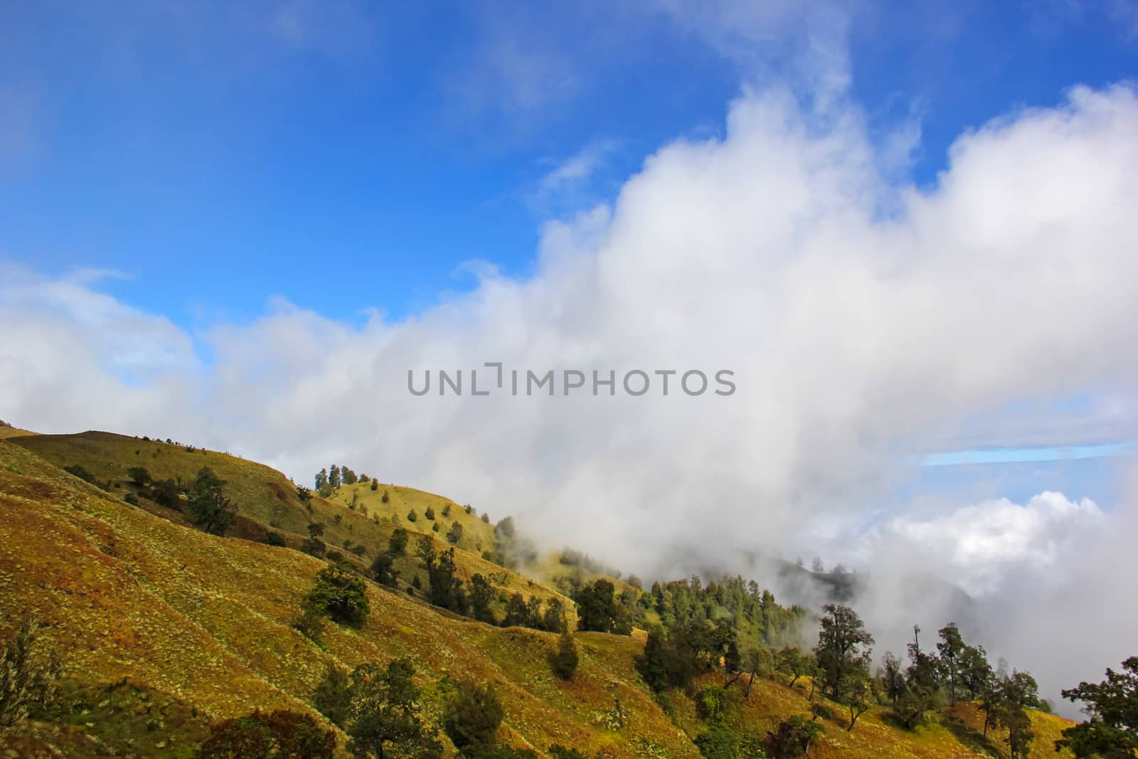 Landscape on mountain with grass and cloud