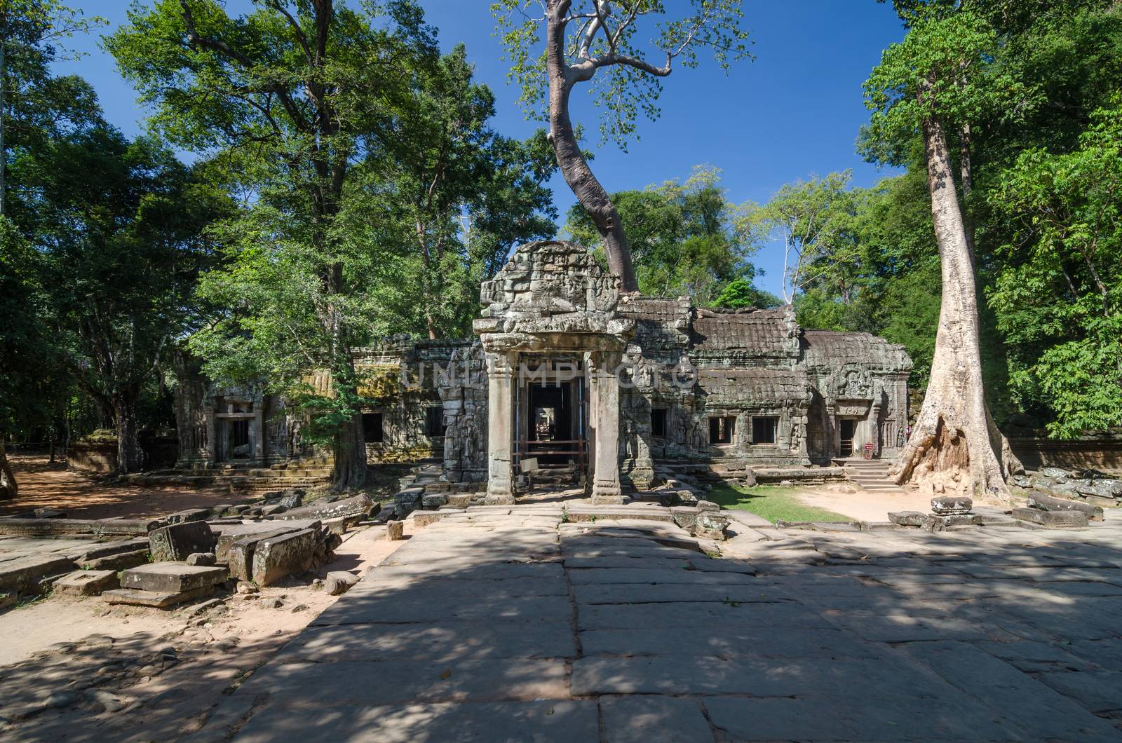 Ta Prohm temple in Siem Reap by siraanamwong