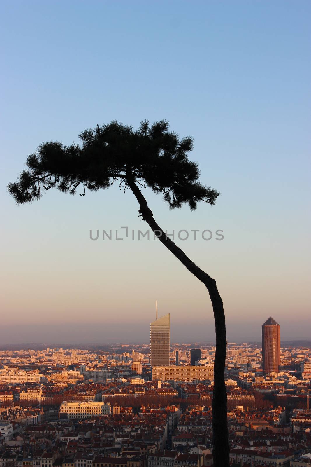 The Beautiful City of Lyon by bensib