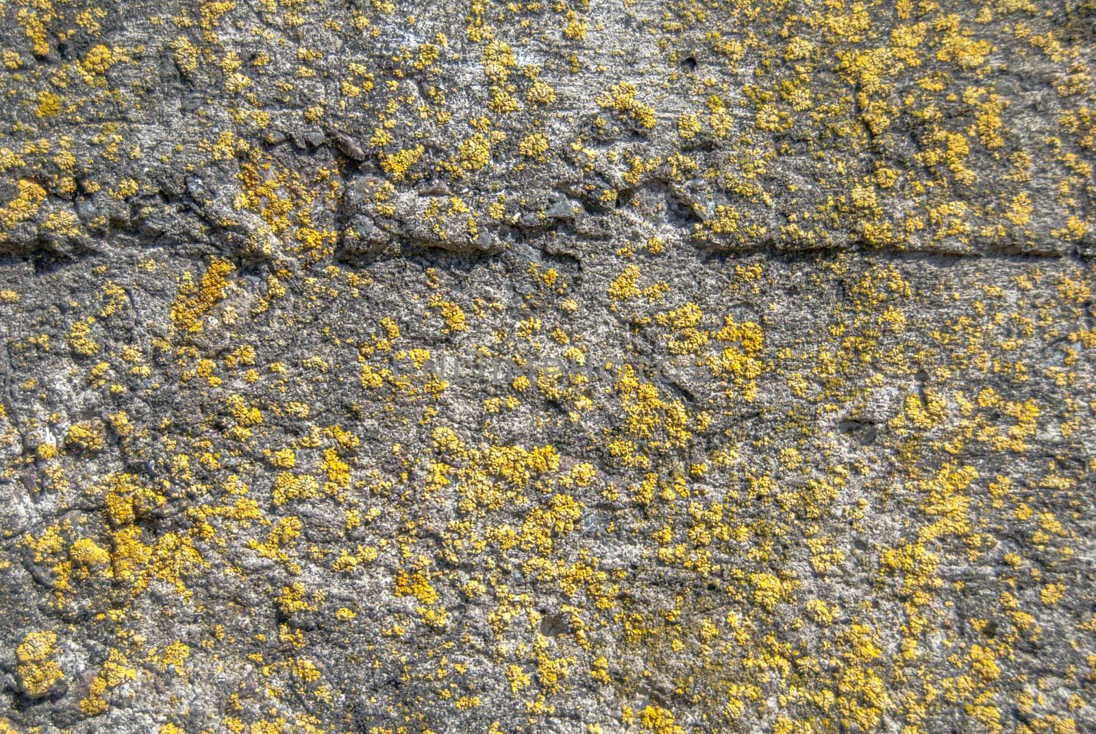 fragment of a concrete wall, which has undergone deformation due to prolonged exposure to various climatic conditions