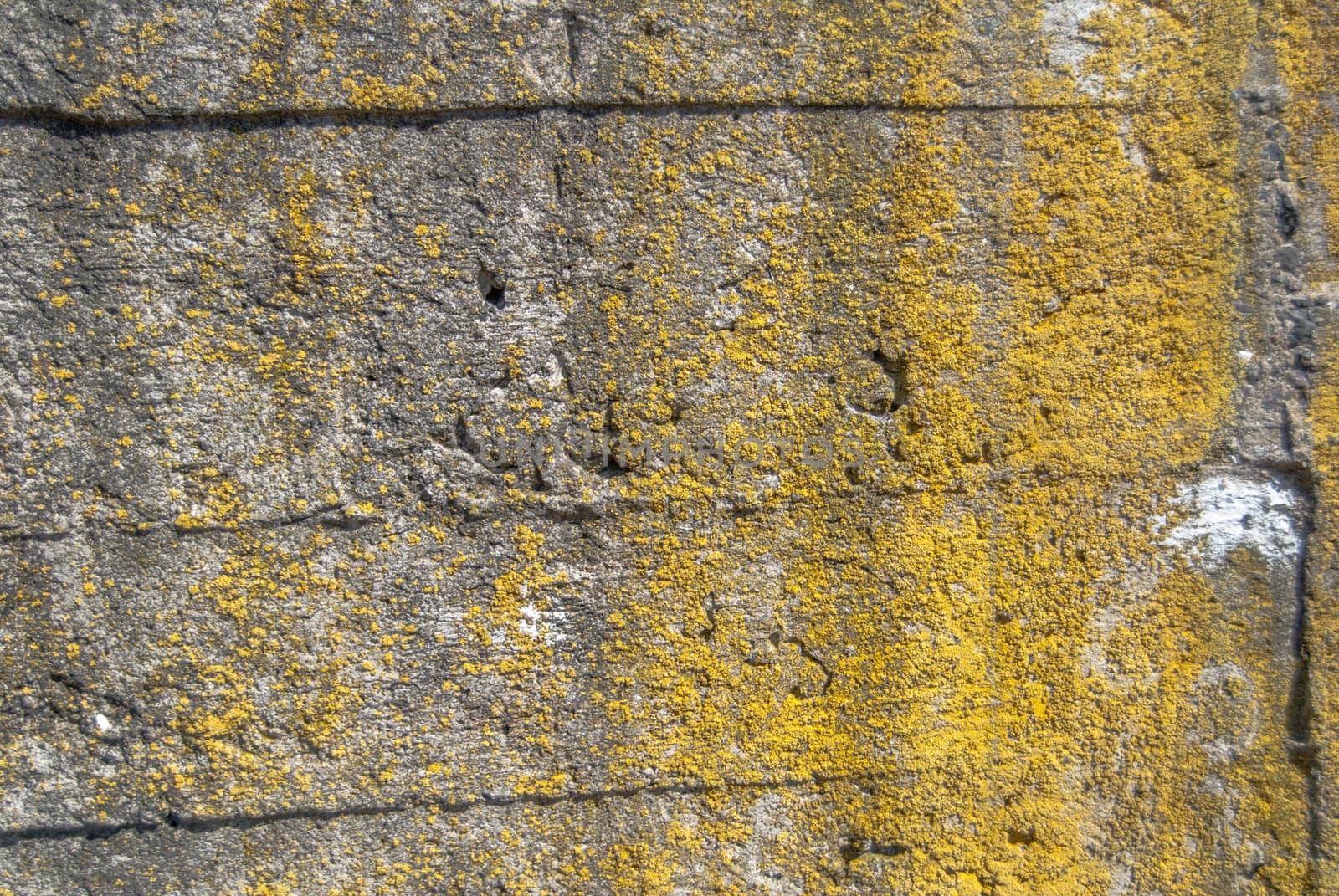 fragment of a concrete wall, which has undergone deformation due to prolonged exposure to various climatic conditions