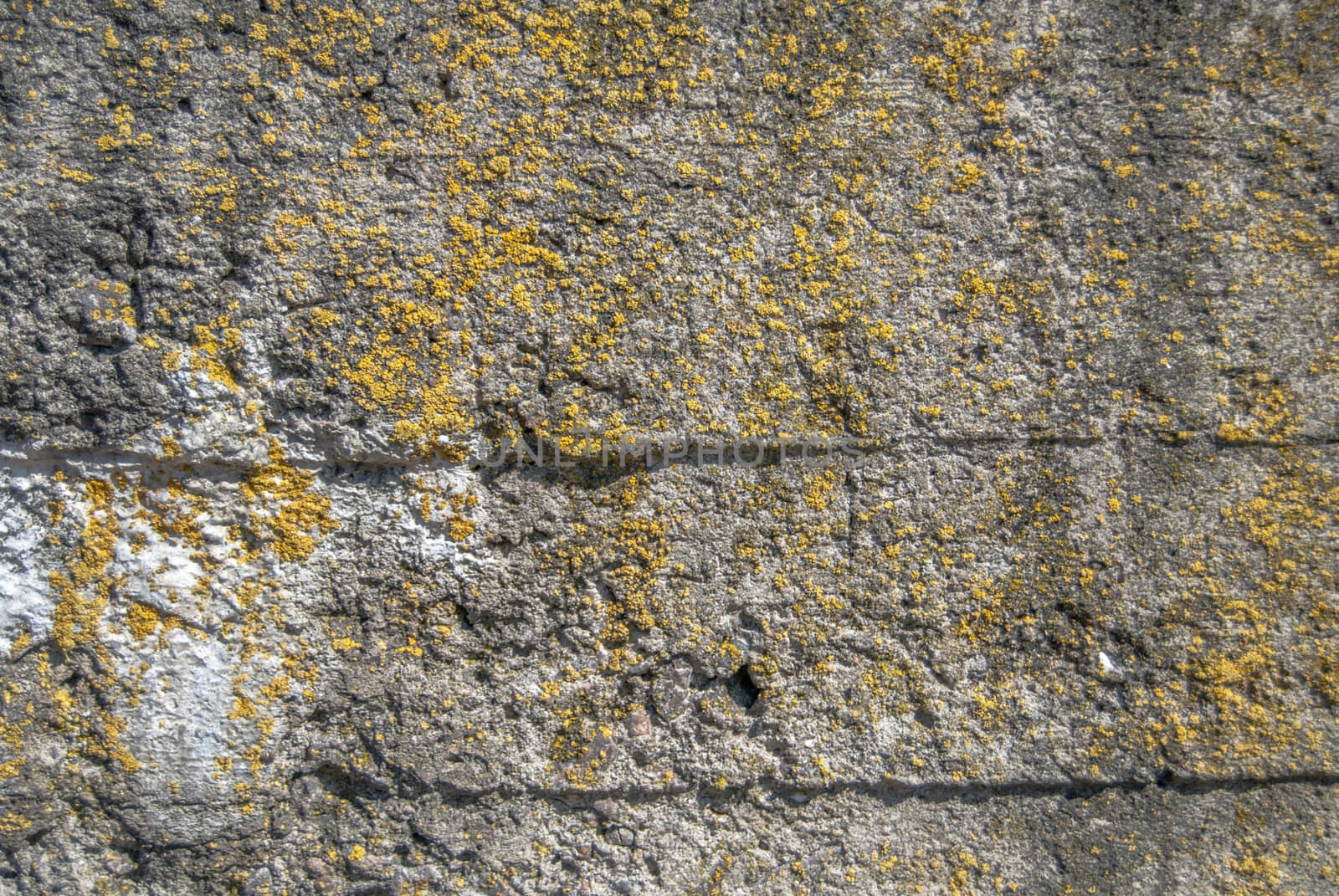 fragment of a concrete wall, which has undergone deformation due to prolonged exposure to various climatic conditions