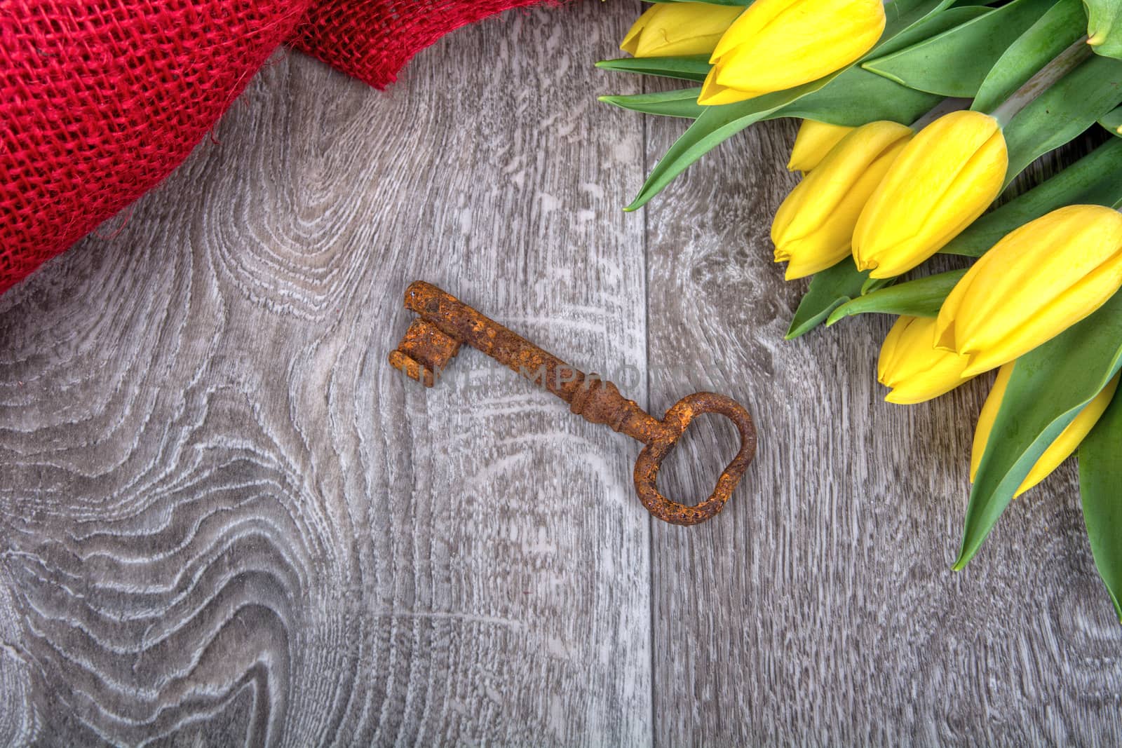 Rusty key and yellow tulip on a wooden background