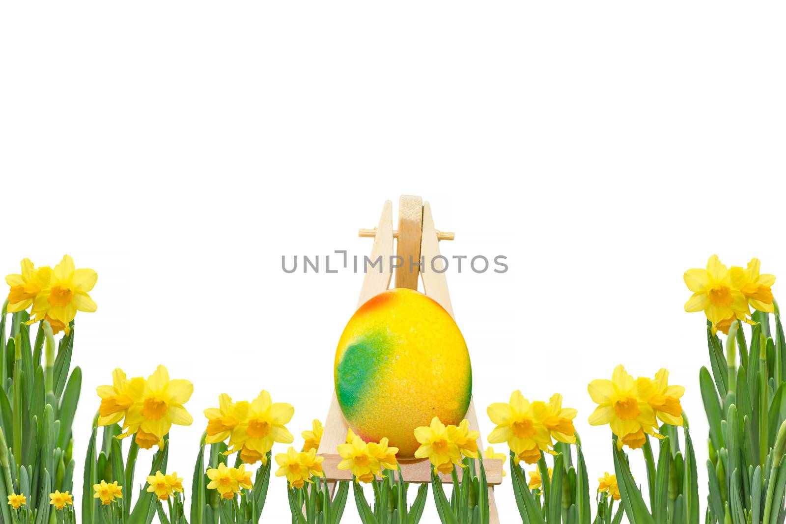 Frame daffodils with easter egg on an easel in front of a white background.