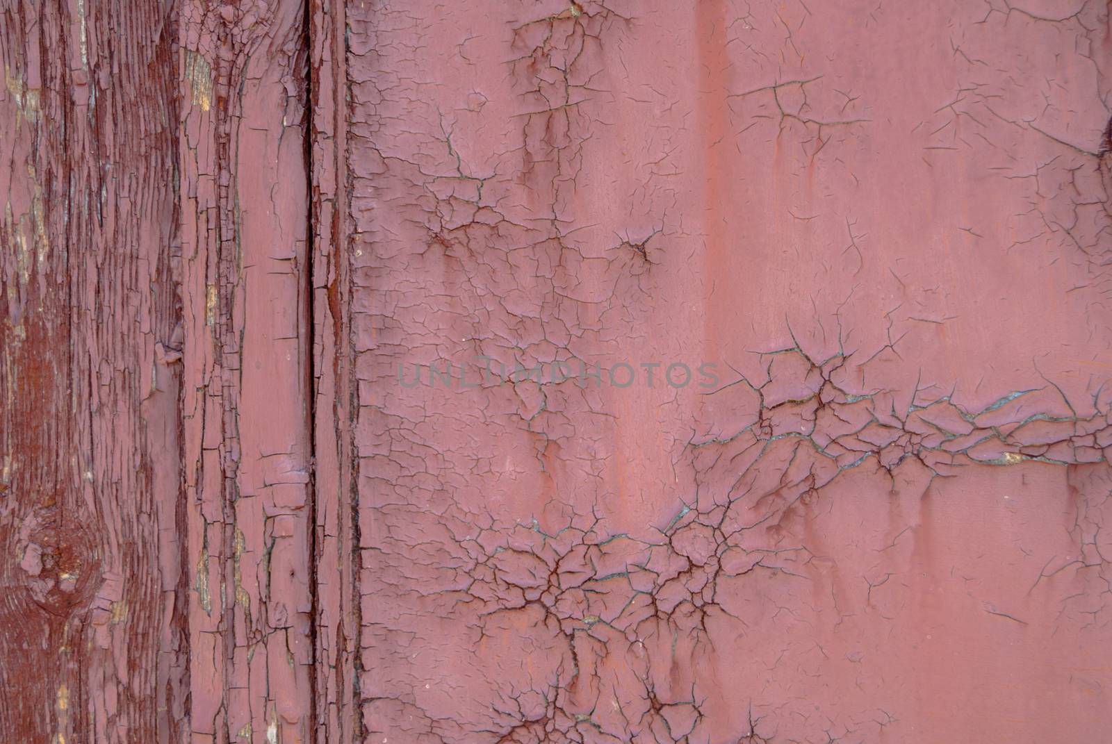 chipped paint on old wooden the door, great background or texture for your project by uvisni