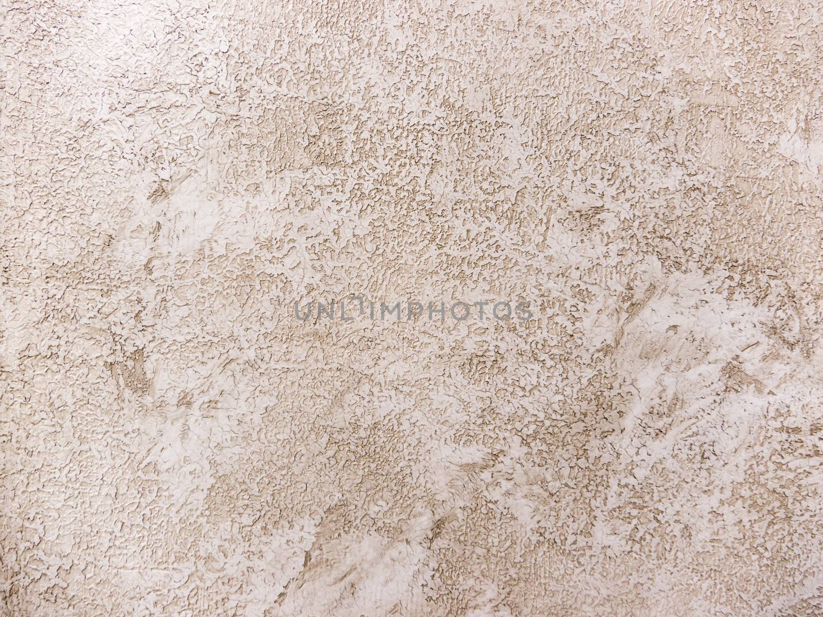 Gray Plastered Concrete Wall Background Texture Detail